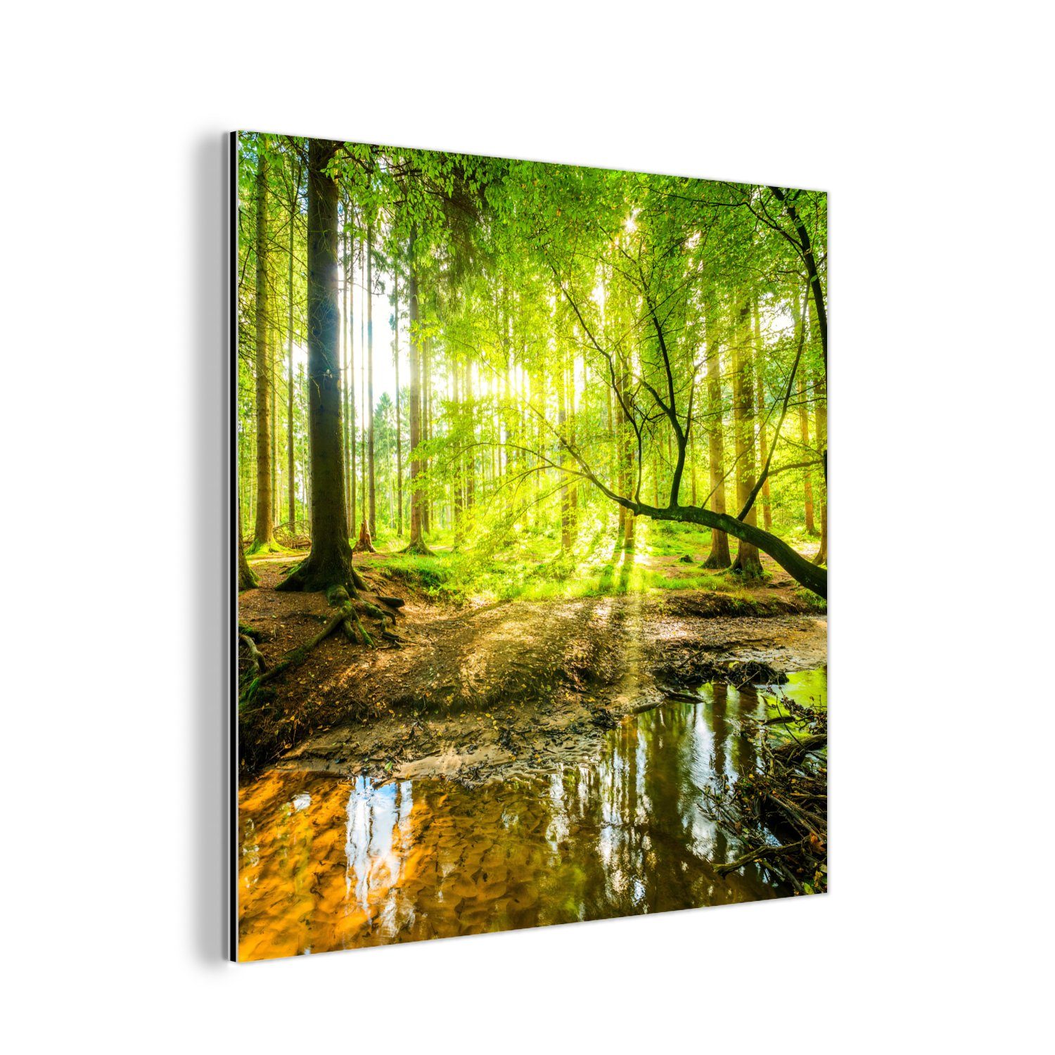 MuchoWow Metallbild Wald - Landschaft - Wasser - Bäume - Sonne - Grün - Natur, (1 St), Alu-Dibond-Druck, Gemälde aus Metall, Aluminium deko