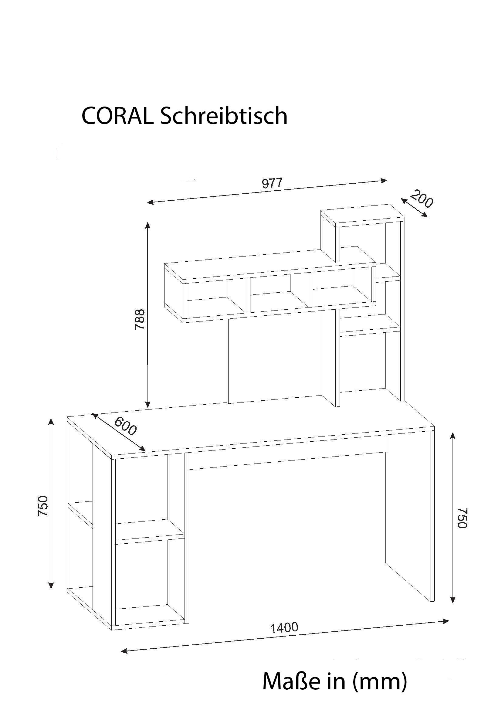 moebel17 Schreibtisch Walnuss Walnuss Weiß - Coral Schreibtisch Weiß