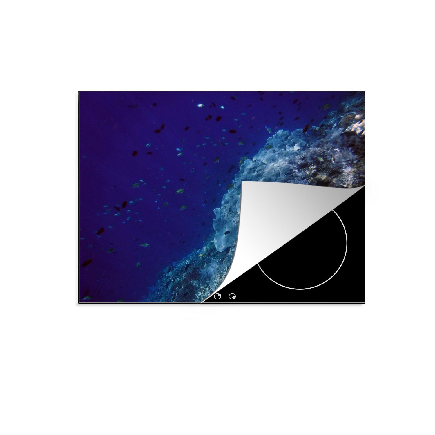MuchoWow Herdblende-/Abdeckplatte Korallen in der Celebes-See im Bunaken-Nationalpark in Indonesien, Vinyl, (1 tlg), 71x52 cm, Induktionskochfeld Schutz für die küche, Ceranfeldabdeckung