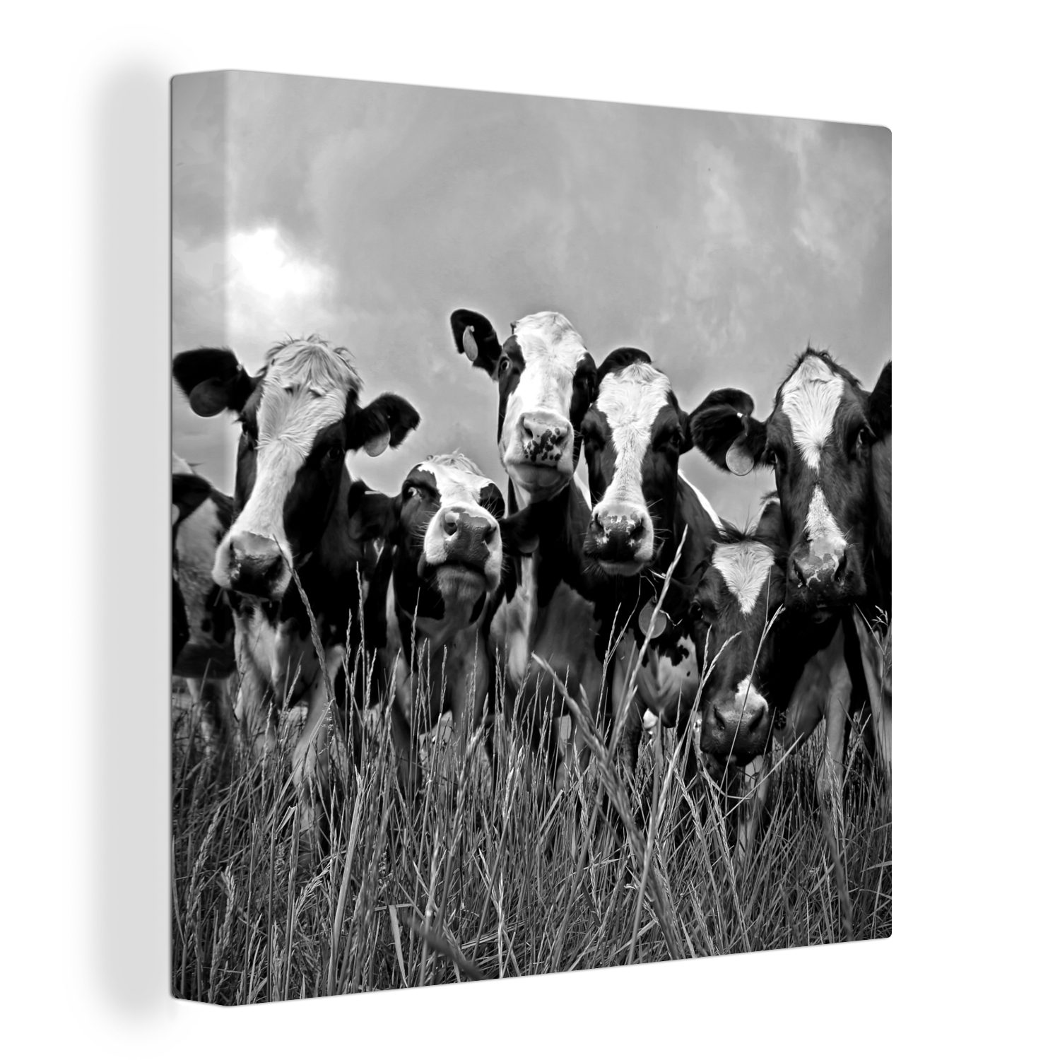 OneMillionCanvasses® Leinwandbild Grauer Himmel über einer Herde von Friesenkühen - schwarz und weiß, (1 St), Leinwand Bilder für Wohnzimmer Schlafzimmer bunt