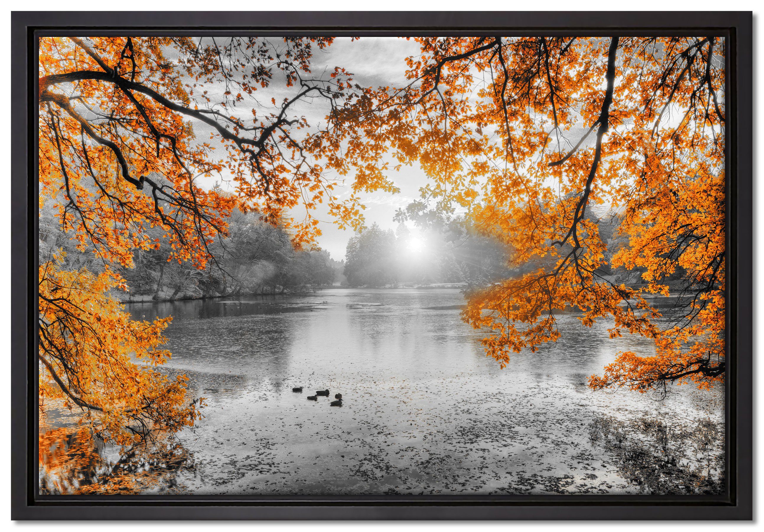 Leinwandbild Schattenfugen-Bilderrahmen Pixxprint bespannt, inkl. Zackenaufhänger um Sonnenuntergang fertig Detail, Leinwandbild See bei einem Wanddekoration St), Herbstbäume B&W gefasst, in (1