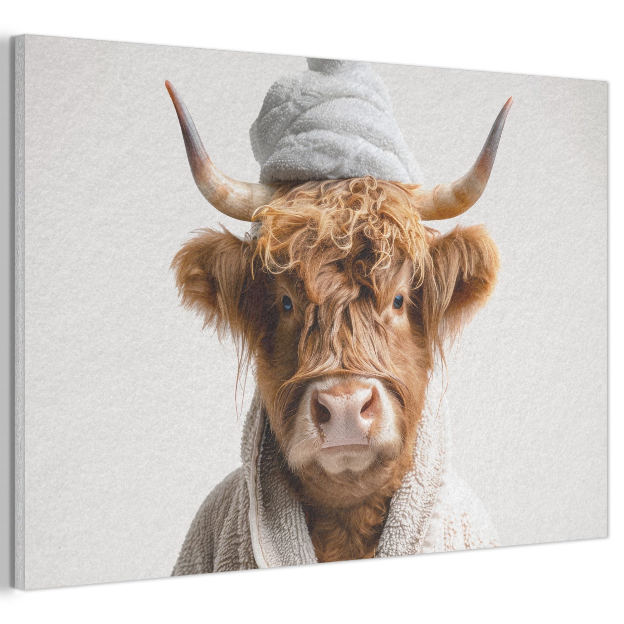 MuchoWow Gemälde Schottischer Highlander - Bademantel - Kuh - Tiere, Fotodruck (1 St), Akustikbilder Schallabsorber, Wandpaneele, Akustikpaneele 60x40 cm