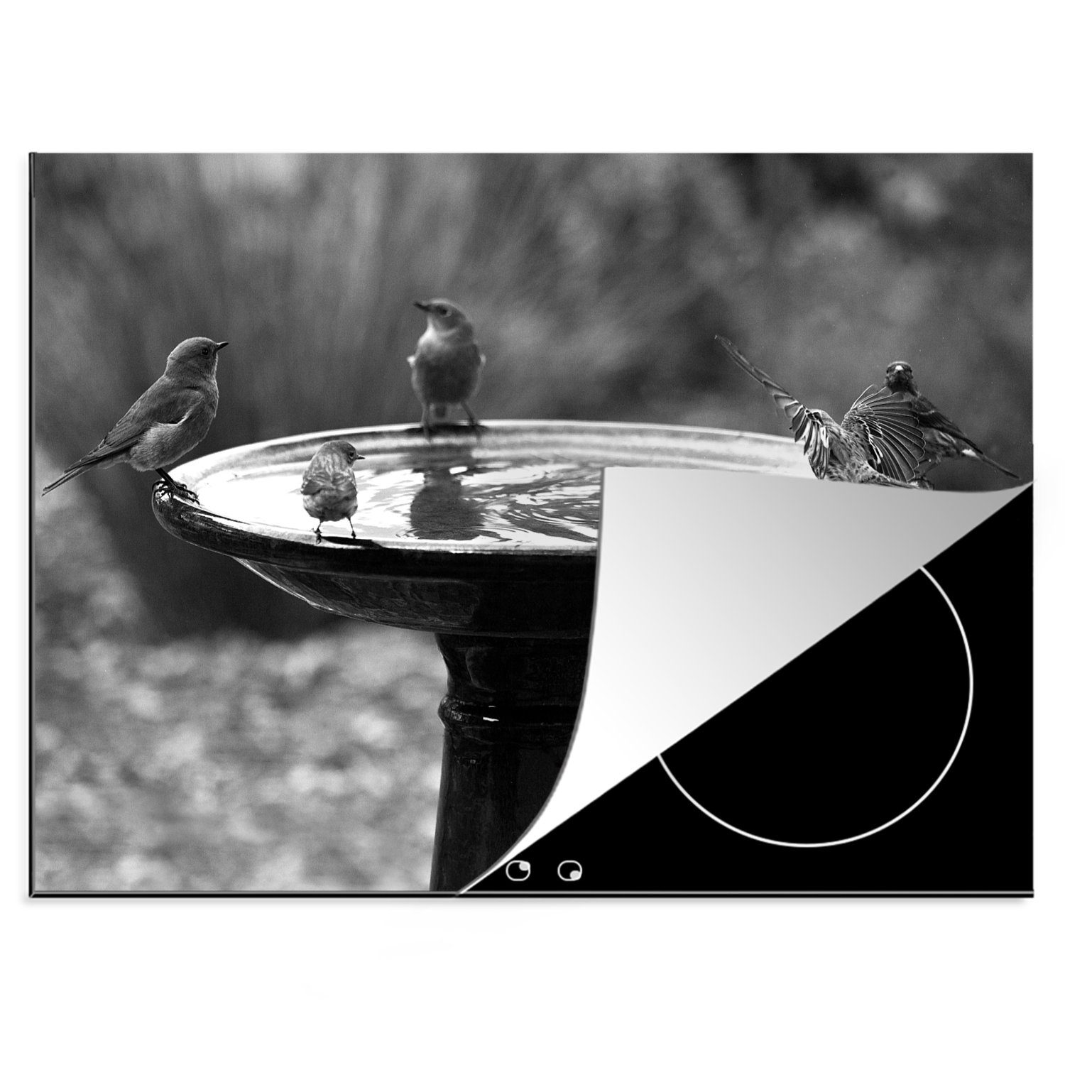 MuchoWow Herdblende-/Abdeckplatte Verschiedene Vogelarten teilen sich eine Vogeltränke - schwarz und, Vinyl, (1 tlg), 70x52 cm, Mobile Arbeitsfläche nutzbar, Ceranfeldabdeckung