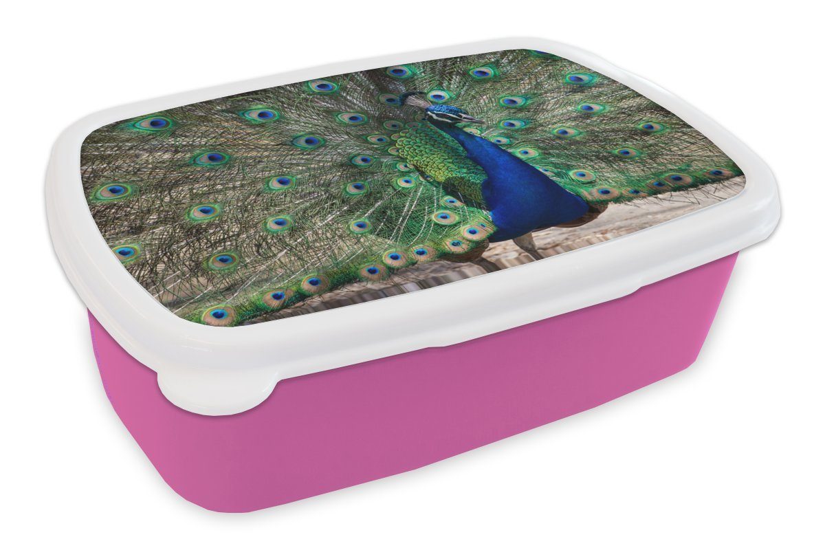 - rosa Kunststoff Mädchen, Pfauenfedern Snackbox, Blau Brotdose - Kinder, Kunststoff, Brotbox Lunchbox (2-tlg), für MuchoWow Erwachsene, Vogel,