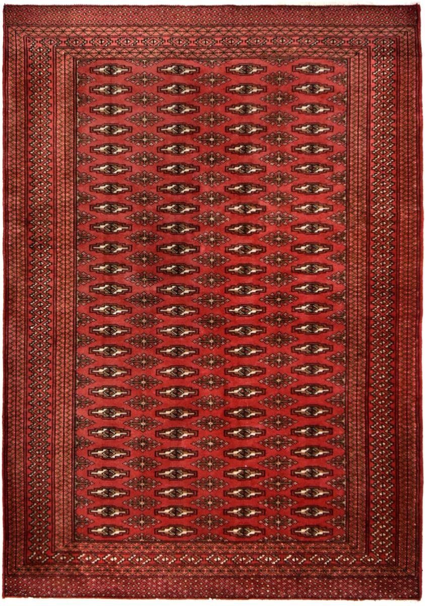Orientteppich 230x190 Höhe: Nain 6 Orientteppich Perserteppich, rechteckig, Handgeknüpfter Turkaman Trading, / mm