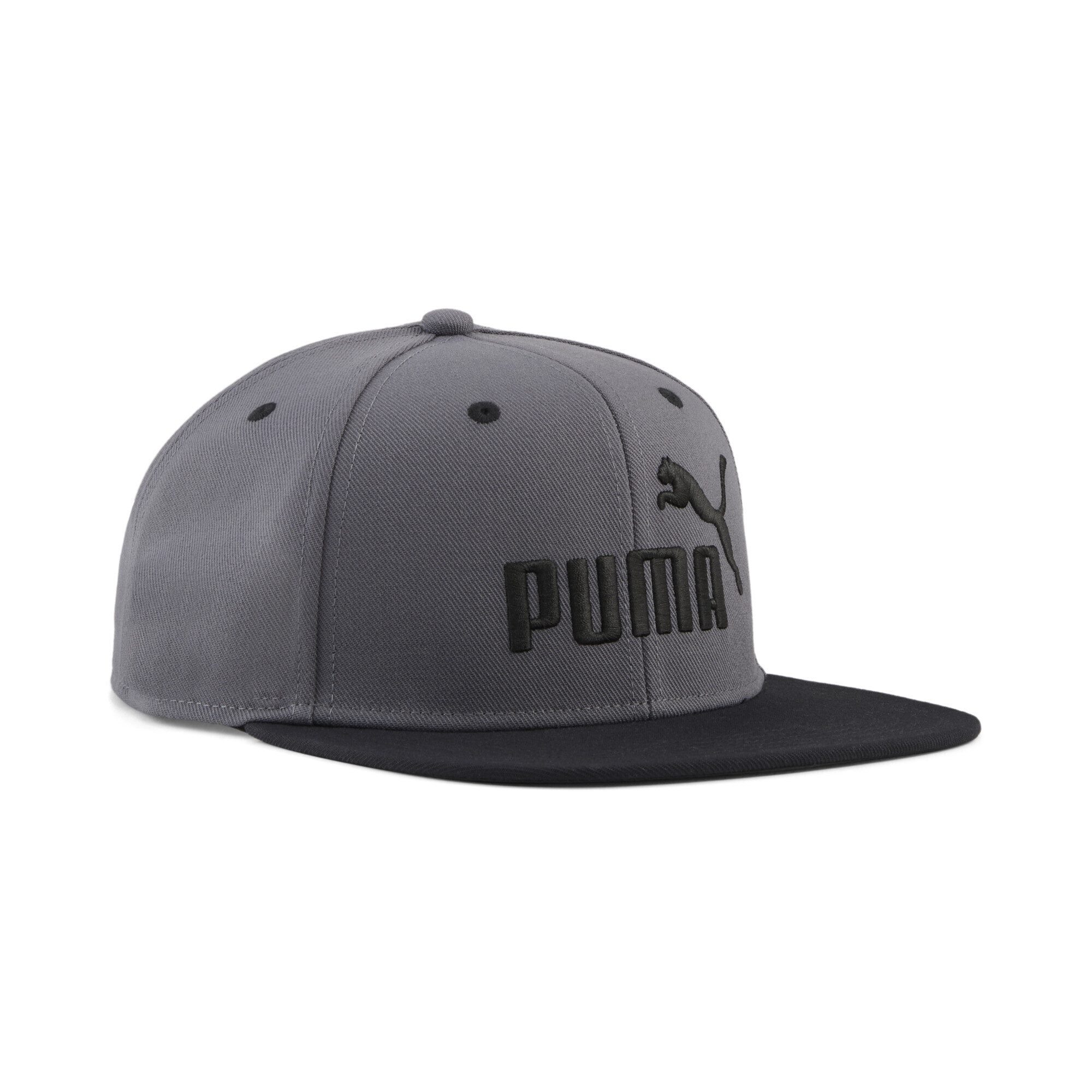 PUMA Flex Cap Essentials No. 1 Logo Cap mit flachem Schirm Erwachsene