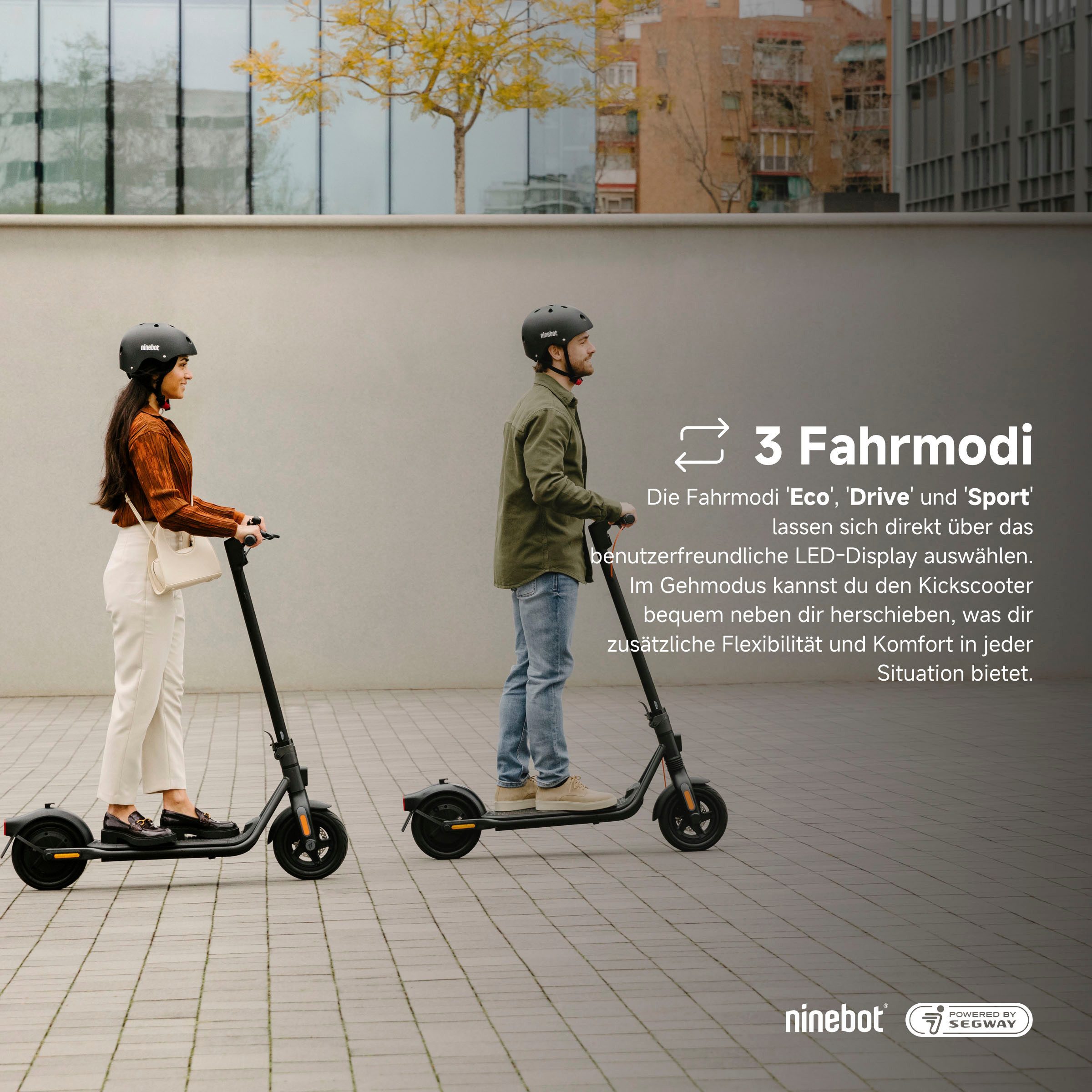 Segway E-Scooter KickScooter F2 PLUS D, 20 km/h, Ninebot E-Scooter, mit Straßenzulassung, bis zu 55 km Reichweite