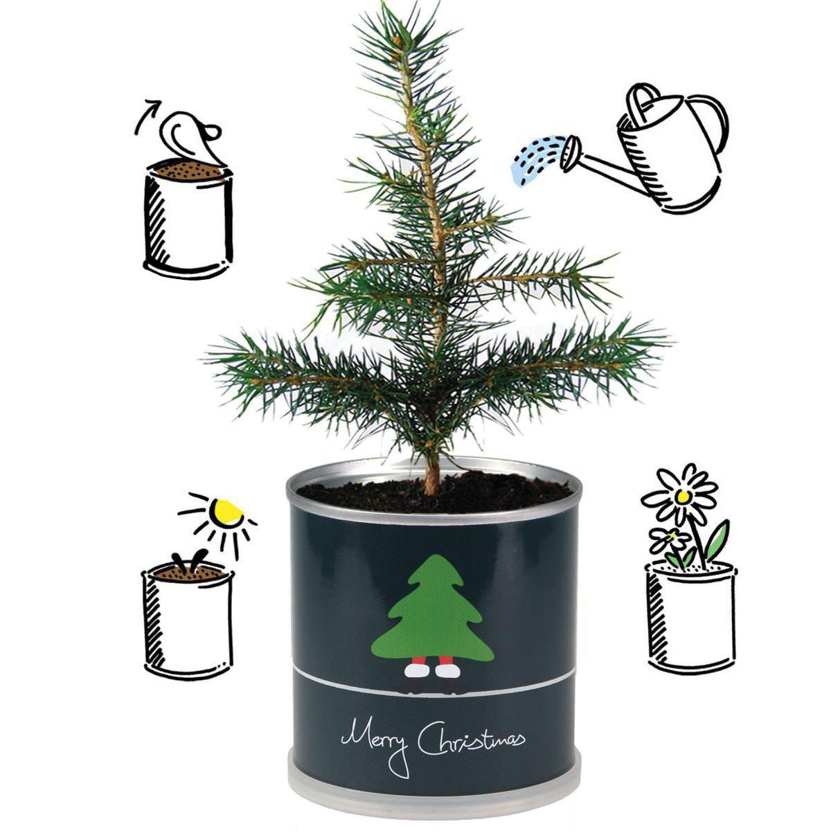 MacFlowers® Christbaumschmuck Weihnachtsbaum Grün in - (1-tlg) der Dose Christmas Merry