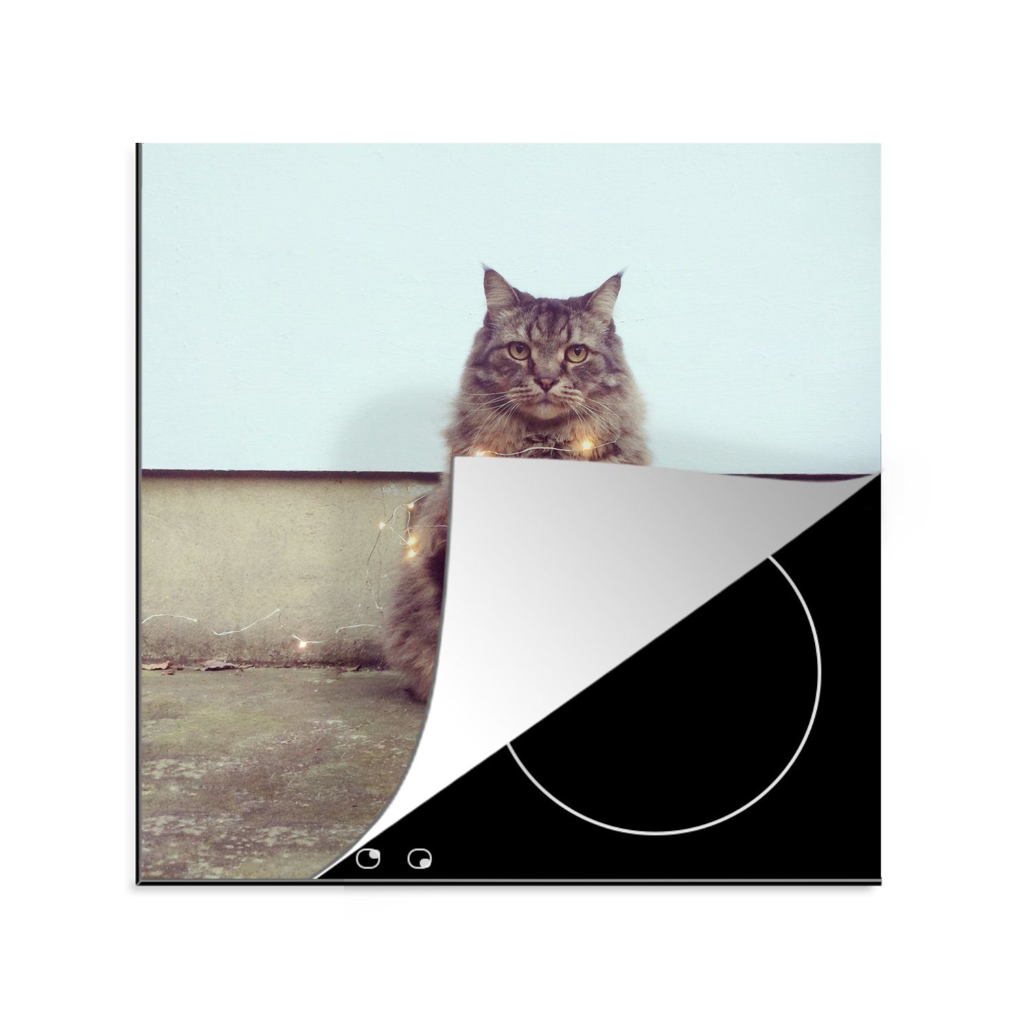 MuchoWow Herdblende-/Abdeckplatte für Katze, die für Coon Arbeitsplatte küche tlg), Beleuchtung 78x78 (1 cm, Maine Vinyl, Schöne Ceranfeldabdeckung