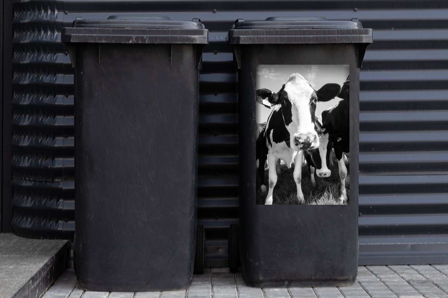 auf einer Abfalbehälter Kuhherde Container, Mülltonne, Wandsticker Mülleimer-aufkleber, St), (1 Sticker, Wiese MuchoWow