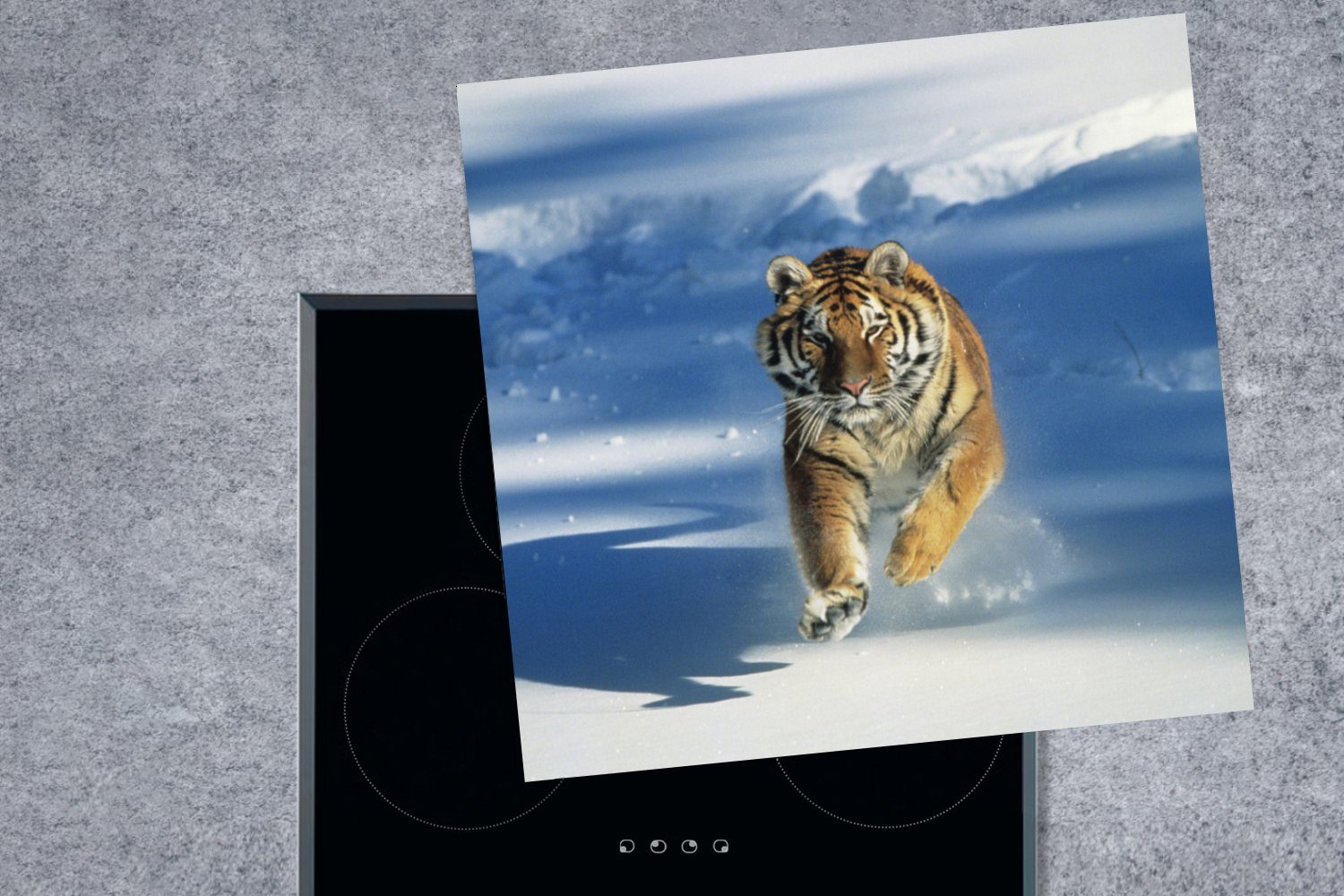 MuchoWow Herdblende-/Abdeckplatte Sibirischer Tiger in cm, küche (1 Ceranfeldabdeckung, tlg), Arbeitsplatte Schnee, Vinyl, 78x78 im Aktion für
