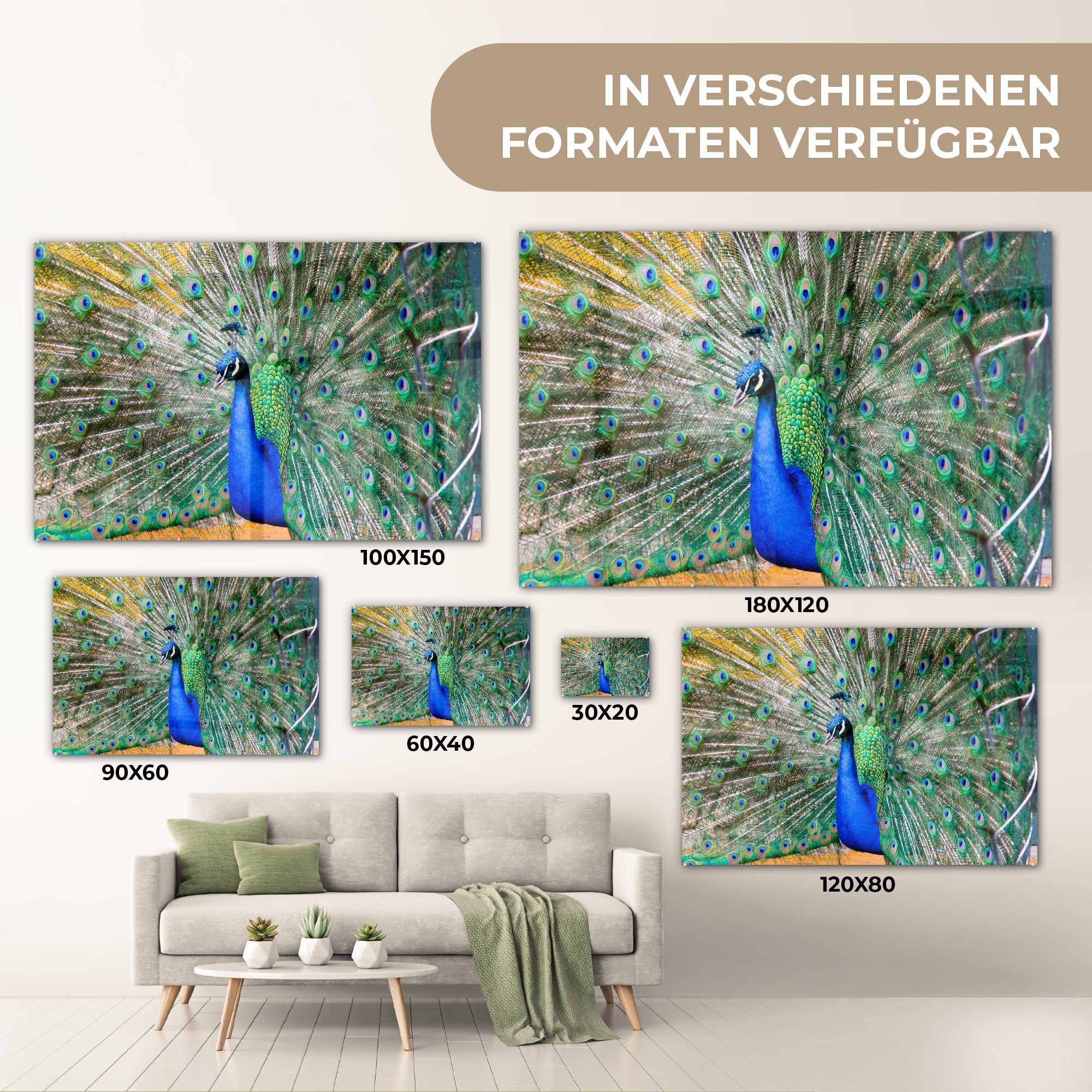 (1 Pfauenfedern Acrylglasbilder Schlafzimmer - & Acrylglasbild MuchoWow St), Blau Wohnzimmer - Grün,