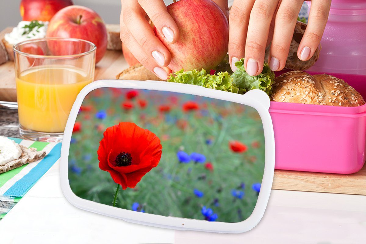 Kinder, Kunststoff Lila Brotbox für Mädchen, rosa Brotdose Mohnblumen Snackbox, auf Wiese, Erwachsene, rote Kunststoff, (2-tlg), MuchoWow Lunchbox einer und