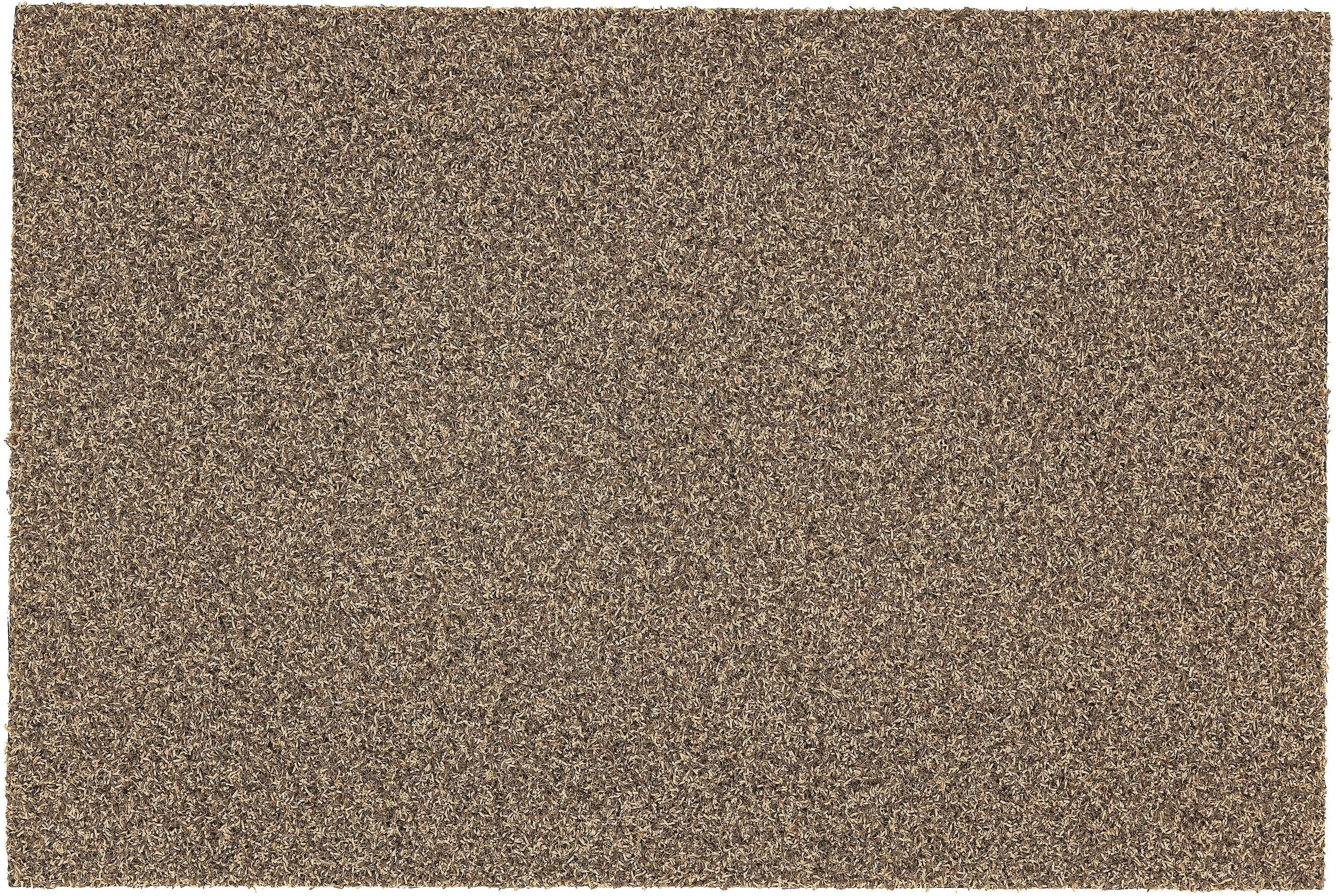 Fußmatte Brush Line 240, ASTRA, rechteckig, Höhe: 11 mm, Schmutzfangmatte, In -und Outdoor geeignet beige