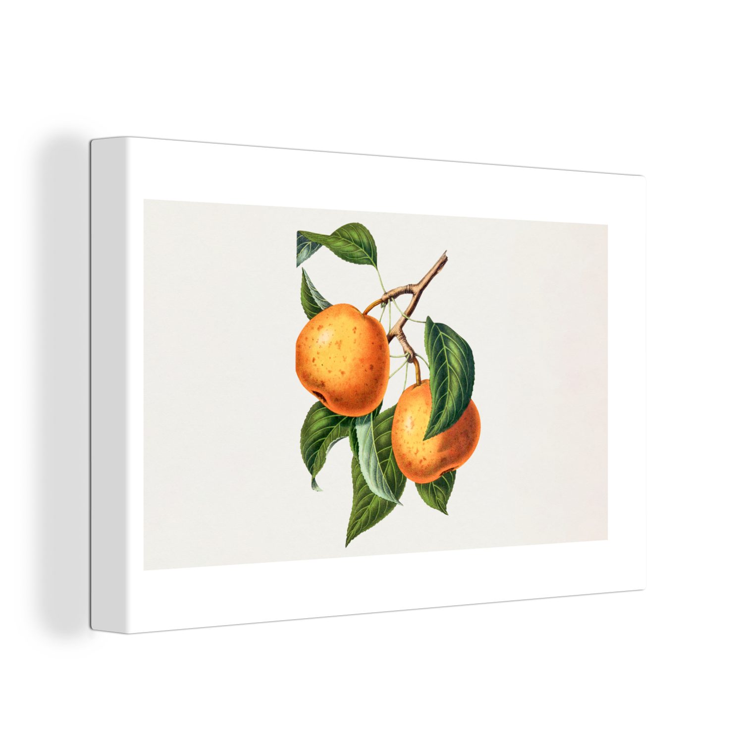 OneMillionCanvasses® Leinwandbild Obst - Lebensmittel - Blätter, (1 St), Wandbild Leinwandbilder, Aufhängefertig, Wanddeko, 30x20 cm