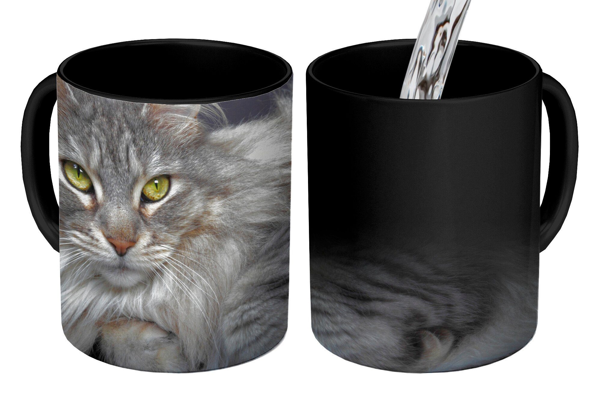 MuchoWow Tasse Eine schöne liegende Maine Coon Katze, Keramik, Farbwechsel, Kaffeetassen, Teetasse, Zaubertasse, Geschenk