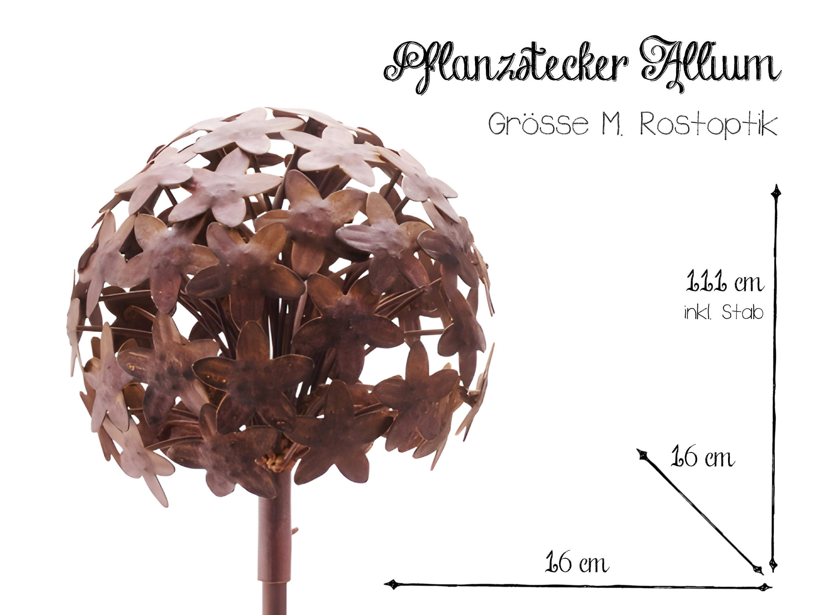 Paulslandhaus Gartenstecker Pflanzstecker Allium 3 Größen günstig online kaufen