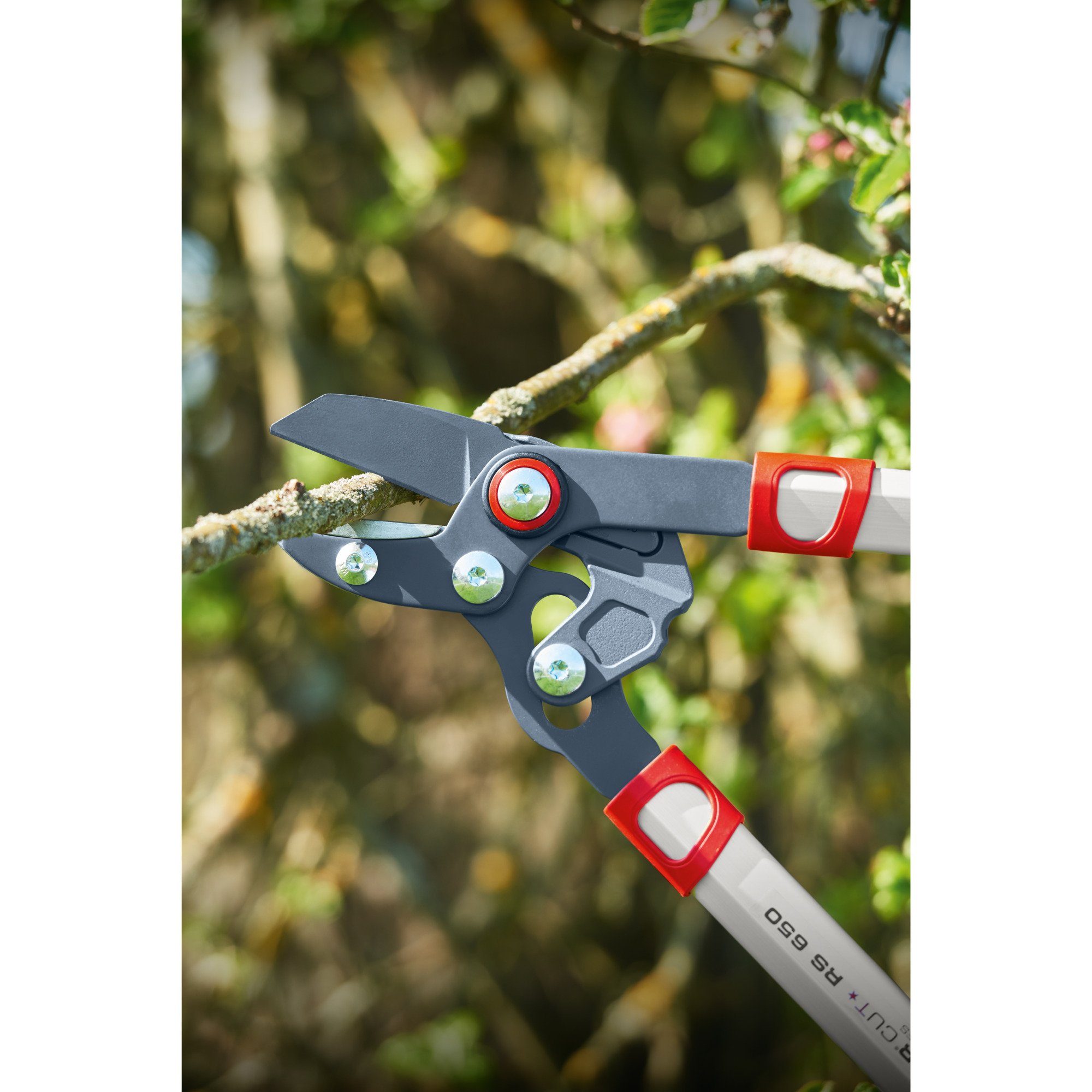 WOLF-Garten Baumschere WOLF-Garten Amboss-Astschere Power Cut RS 650