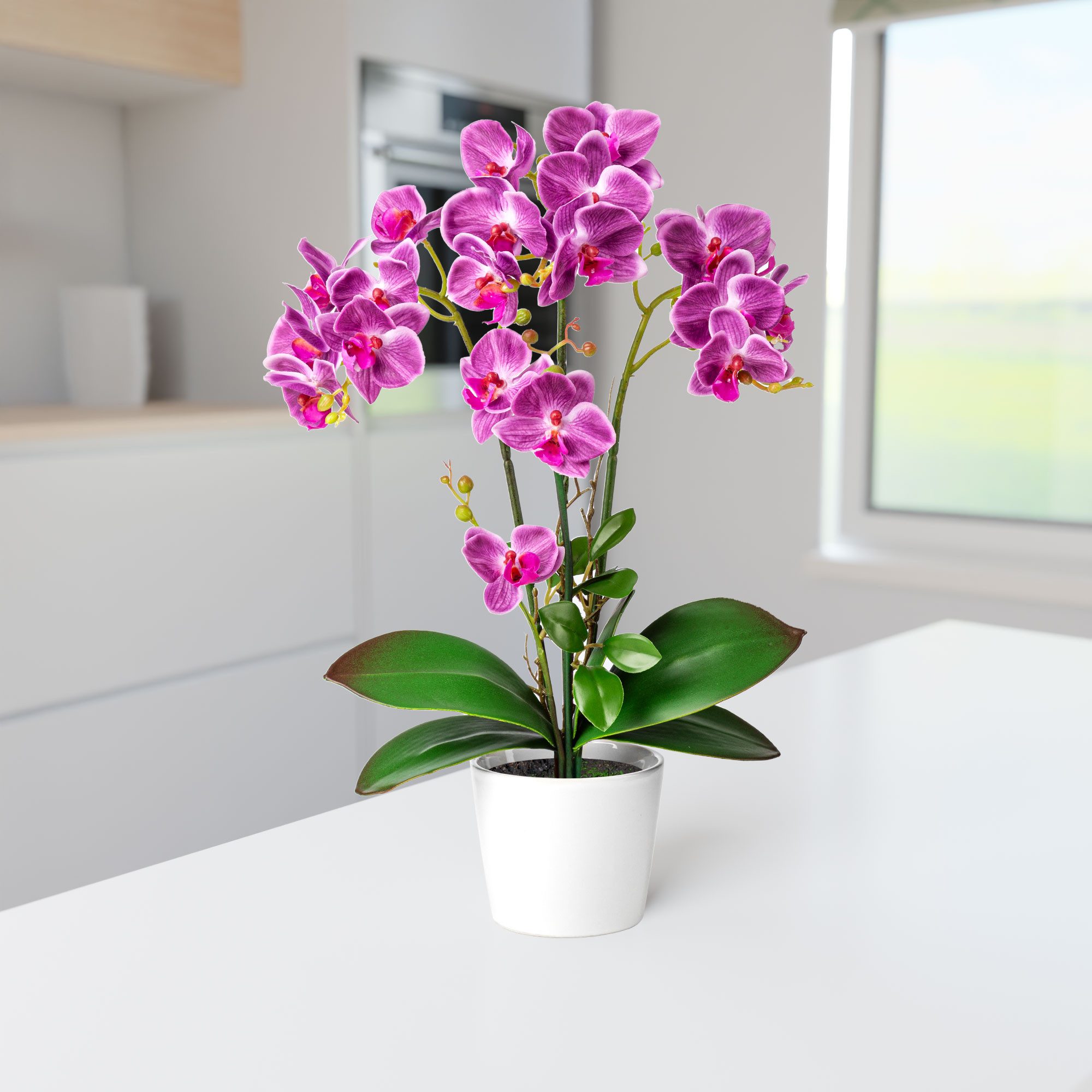 Kunstorchidee PASCH® Orchidee künstlich wie echt (46cm) in Hochglanz-Keramiktopf Orchidee, PASCH, Real Touch