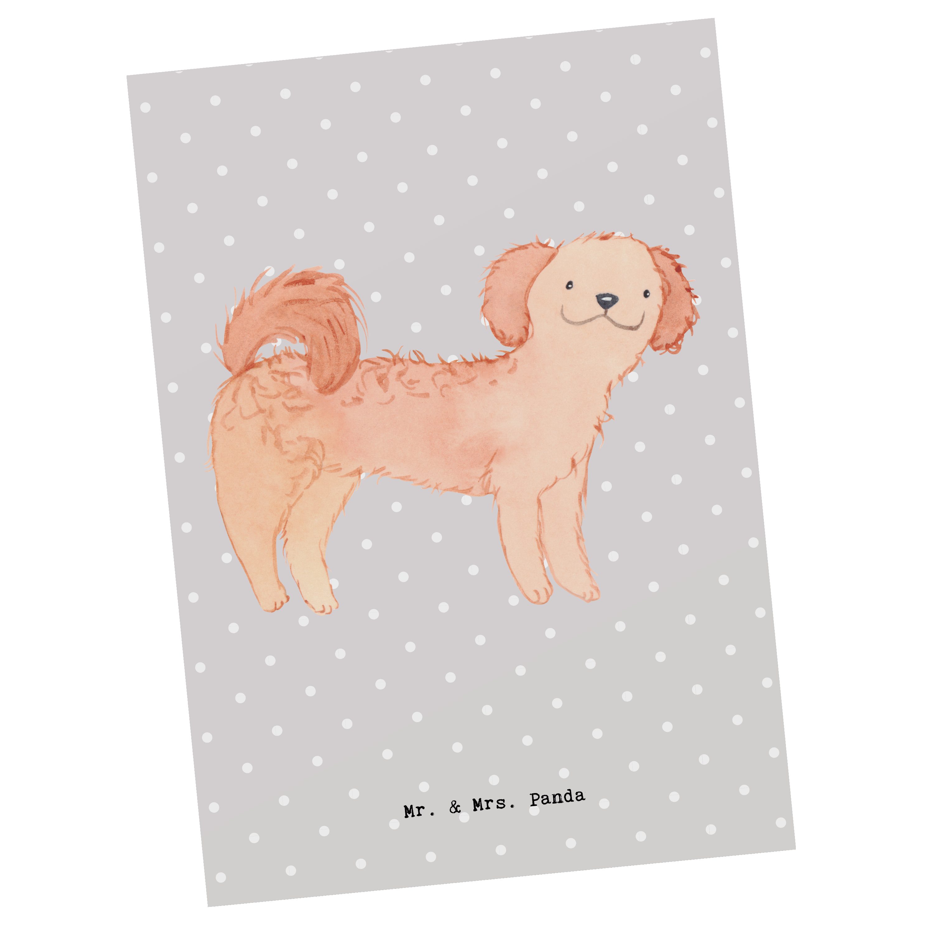 Mr. & Mrs. Panda Postkarte Cavapoo Moment - Grau Pastell - Geschenk, Geburtstagskarte, Hunderass