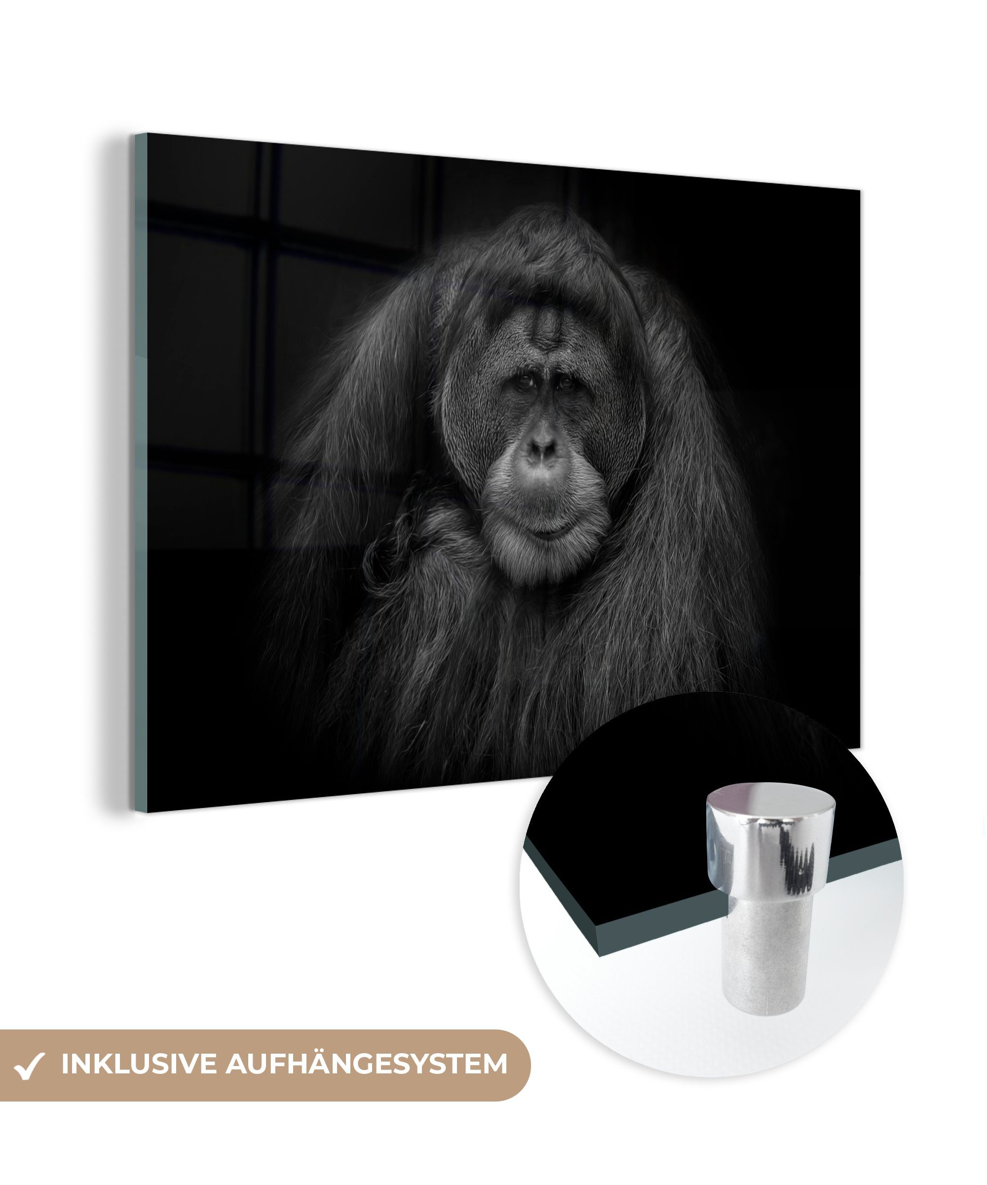 MuchoWow Acrylglasbild Orang-Utan-Profil in Schwarz und Weiß, (1 St), Acrylglasbilder Wohnzimmer & Schlafzimmer