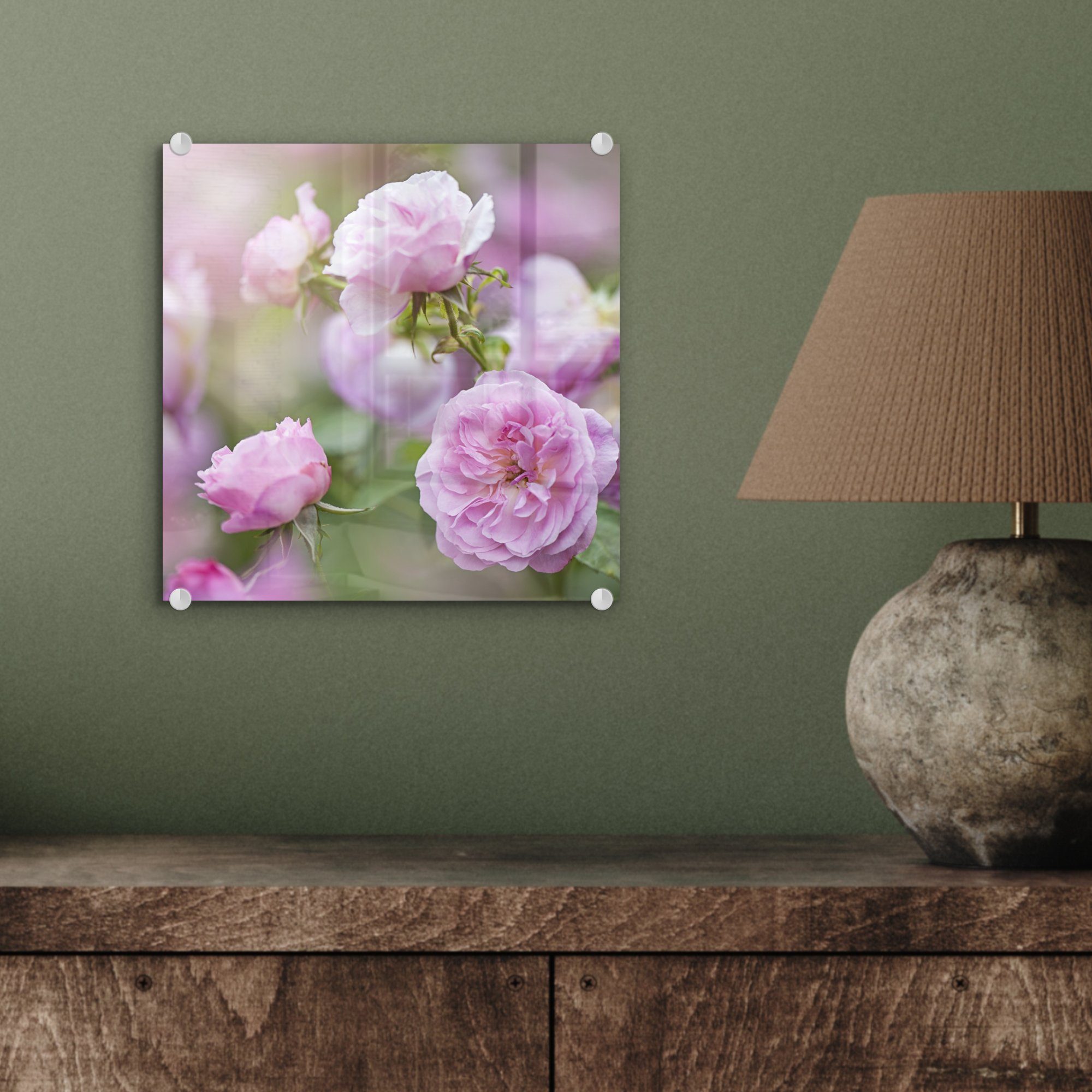 MuchoWow Acrylglasbild Pflanzen - auf Bilder von Glas wachsen Wandbild in Natur, rosa Glasbilder (1 Wanddekoration Foto auf Rosen der St), - - Glas
