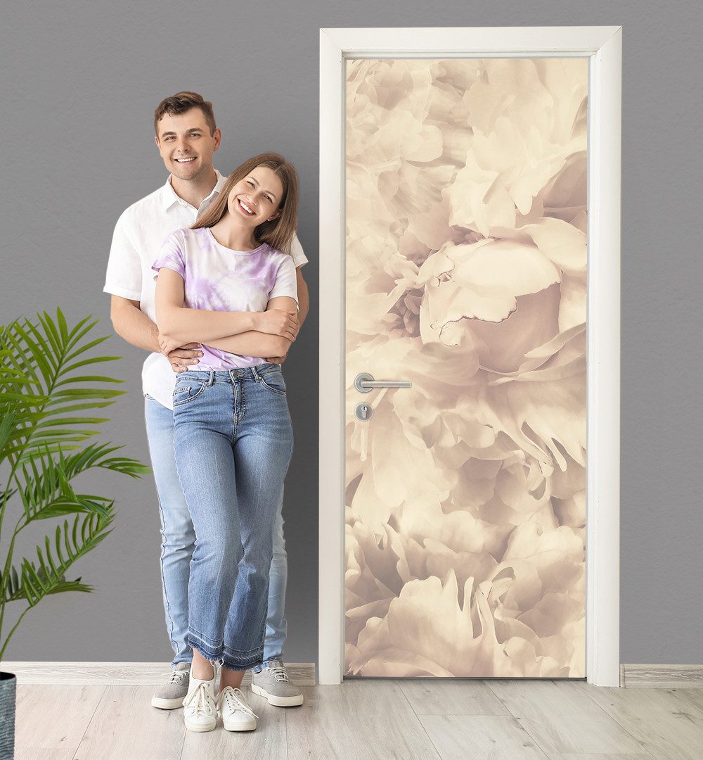 MyMaxxi Dekorationsfolie Türtapete Türposter Türfolie selbstklebend günstig online kaufen