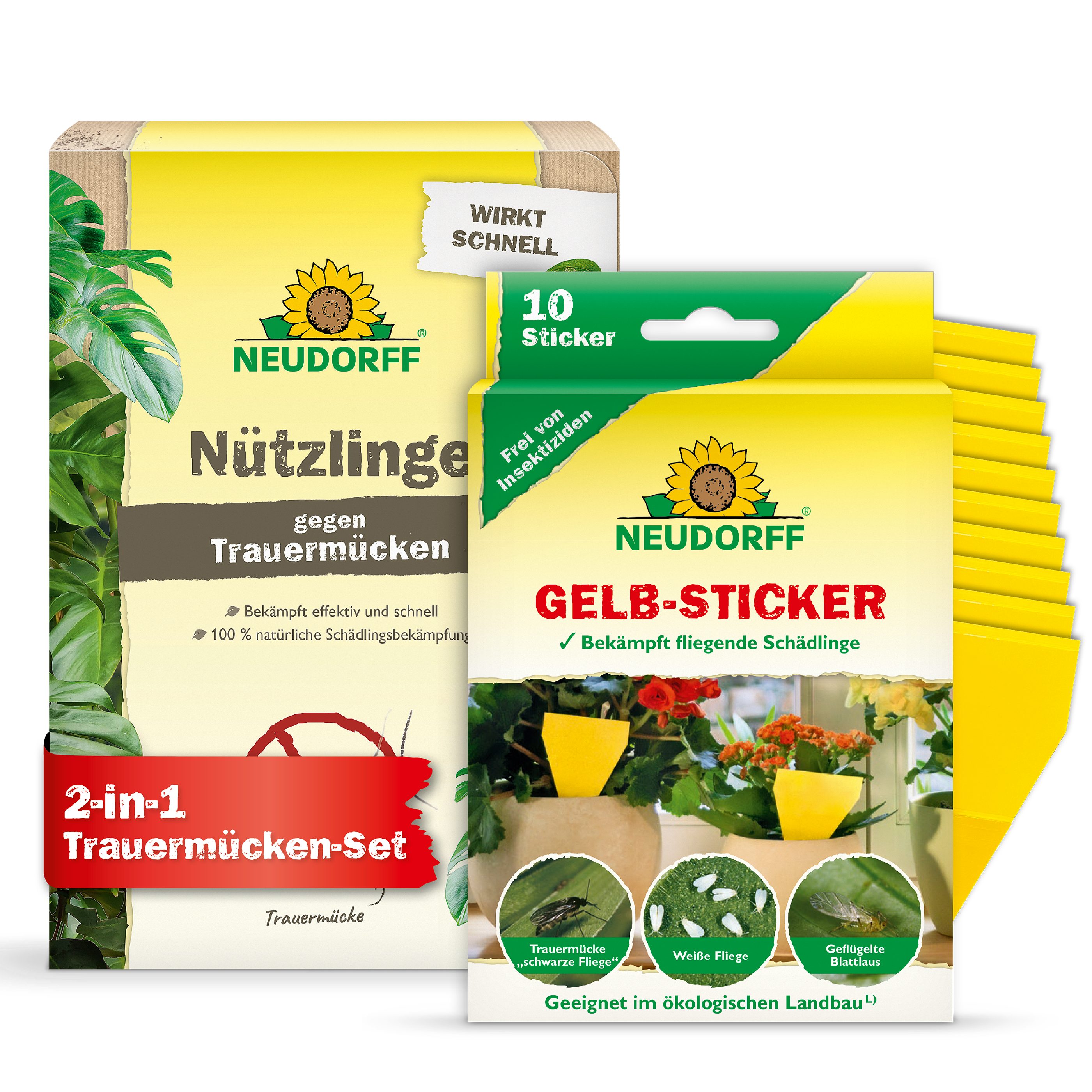 Neudorff Insektenvernichter Trauermücken-Set - 5 Mio. SF-Nematoden und Gelbsticker, Bekämpfung von Trauermücken mit Sofort- & Langzeitwirkung