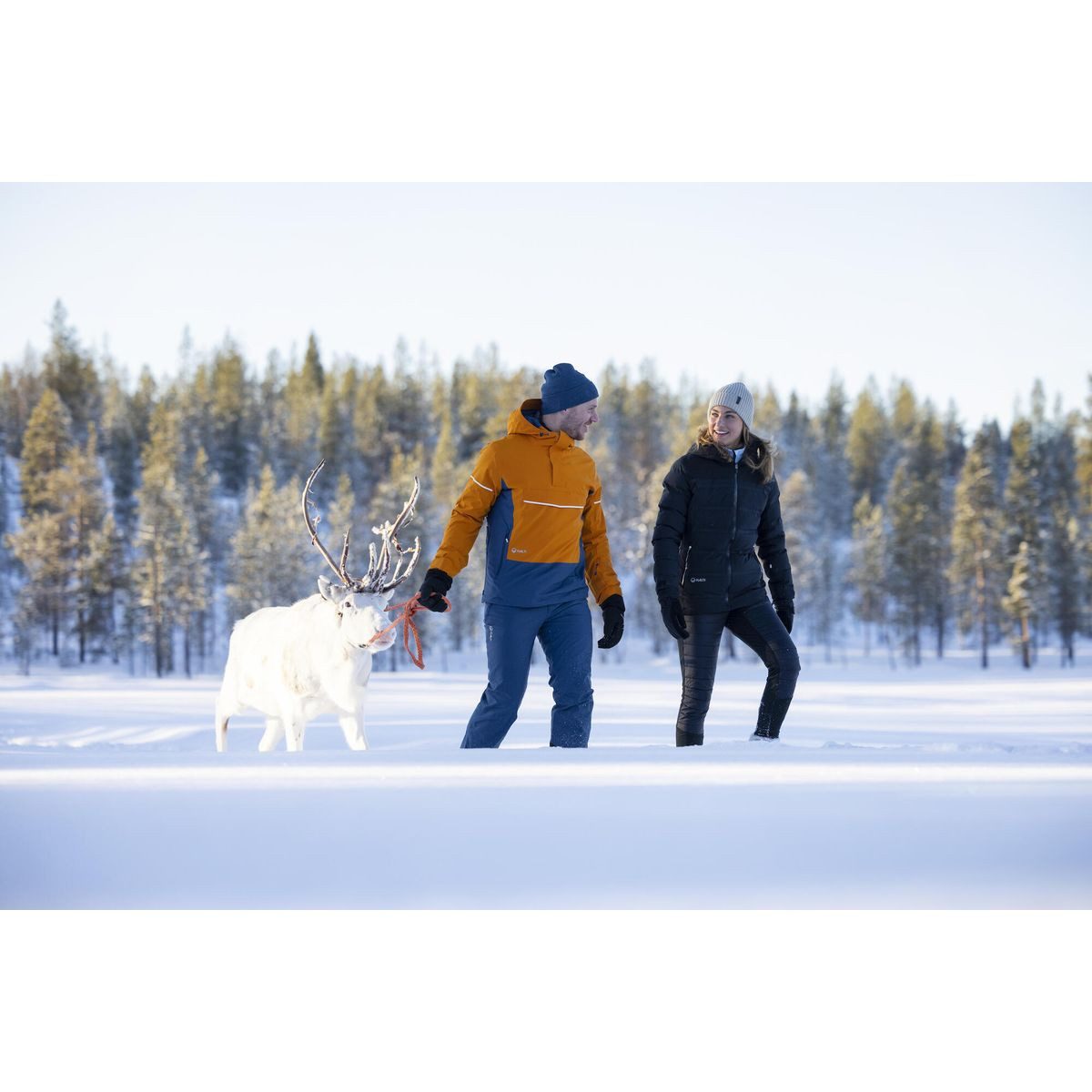 HALTI Skihose Lasku Men's Drymaxx Ski Pants