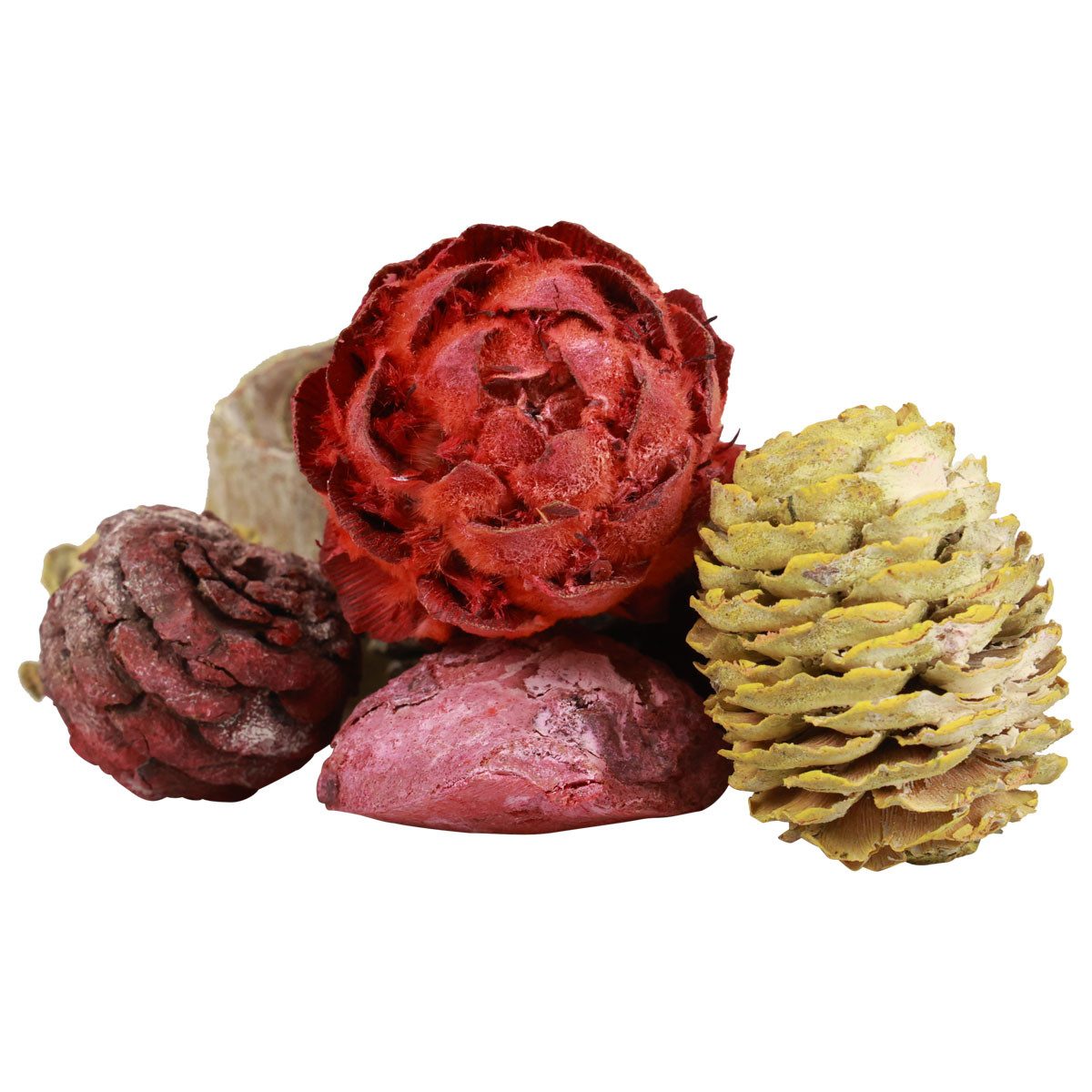 Trockenblume Leucadendron Zapfen Bellgum Deko grün rot gelb gefrostet 300g, Florists Products, Höhe 3.5 cm