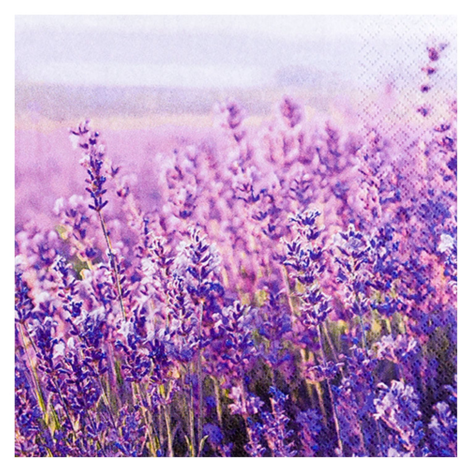HOME FASHION Papierserviette, 3-lagig, Mehrfarbig, Lavendel, H: cm