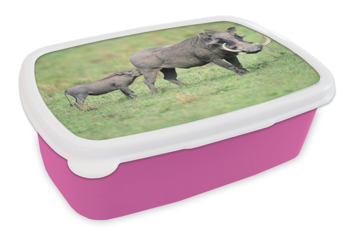 Kunststoff, Lunchbox für Kinder, - Kunststoff Wild MuchoWow Erwachsene, Afrika, Snackbox, rosa Brotbox Schwein Mädchen, Brotdose - (2-tlg),