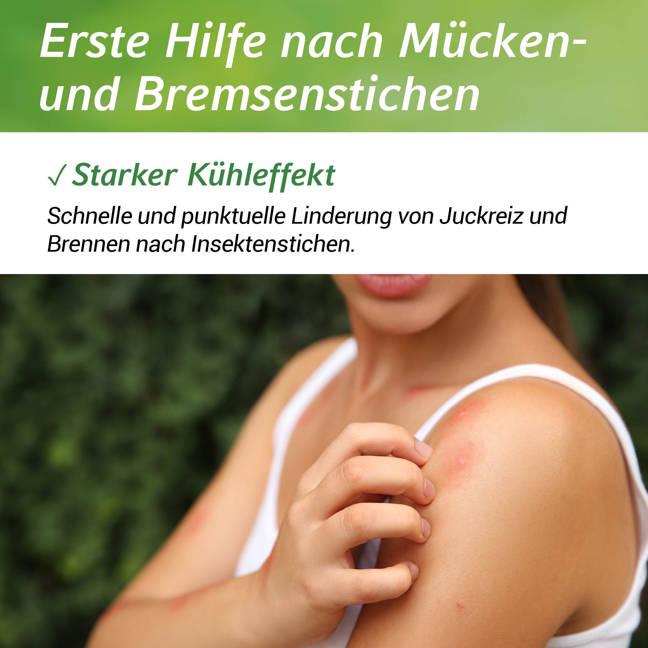 Dr. Ehrlichs Gesundkatalog. Insektenstich-Gel Dr. Ehrlichs Insektenstich Roll-on - Natürliche Linderung bei Stichen, mit 20 ml Inhalt