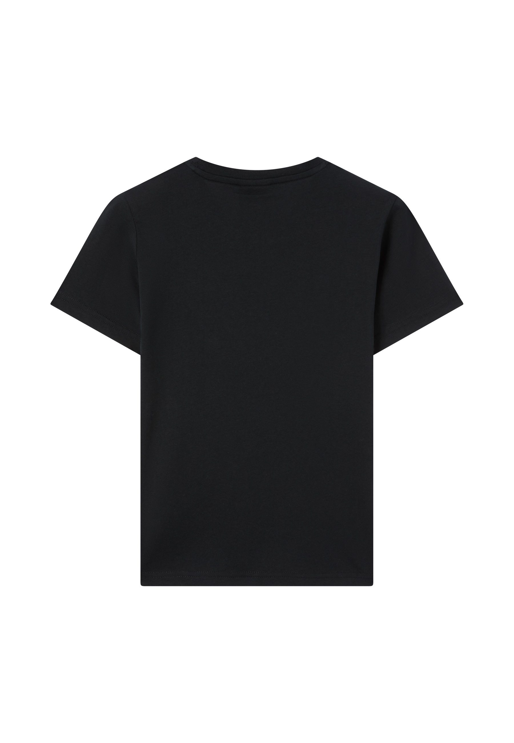 Champion T-Shirt ICONS CONTRAST Crewneck T-Shirt mit Rundhalsausschnitt, Kurzarm, aus Baumwolle, klassischer Schnitt