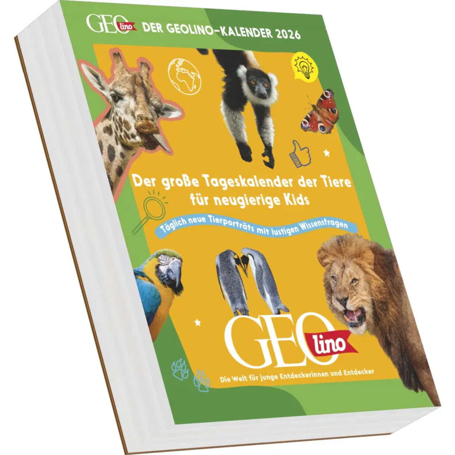 GEO Abreißkalender GEOlino - Der GEOlino-Kalender 2026 - Abreißkalender 12,5x16 cm,...