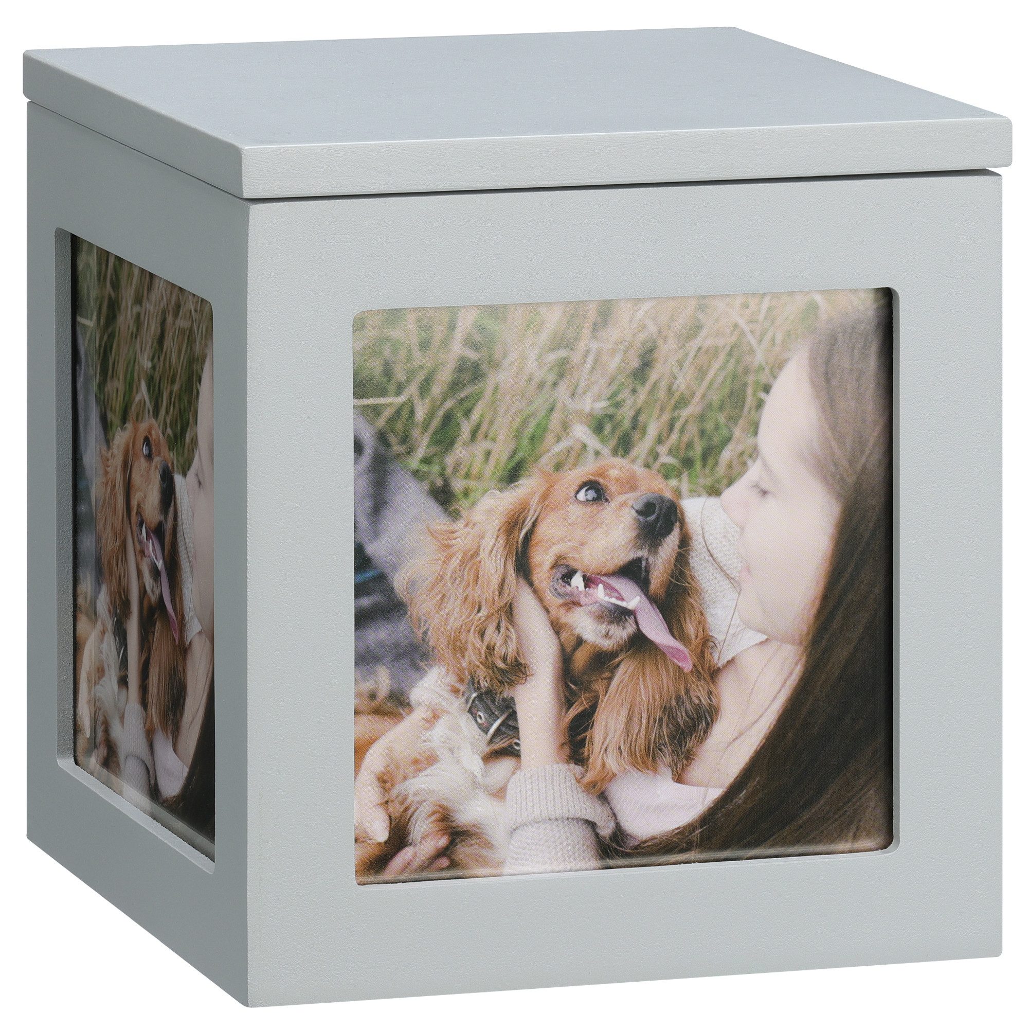 Navaris Dekofigur Urne für Hund oder günstig online kaufen