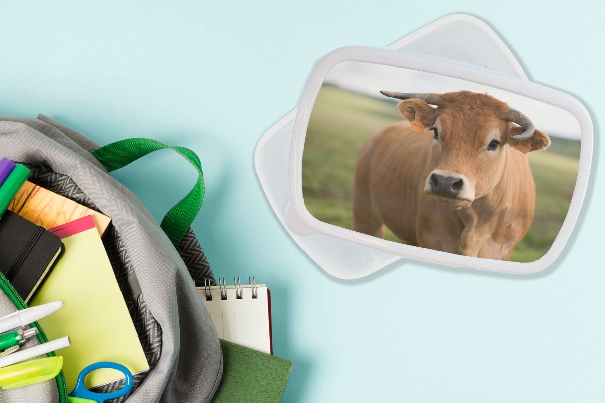 MuchoWow Lunchbox Kuh und für Erwachsene, Horn Jungs weiß und - Porträt, Brotdose, - Kinder für Kunststoff, (2-tlg), Mädchen Brotbox