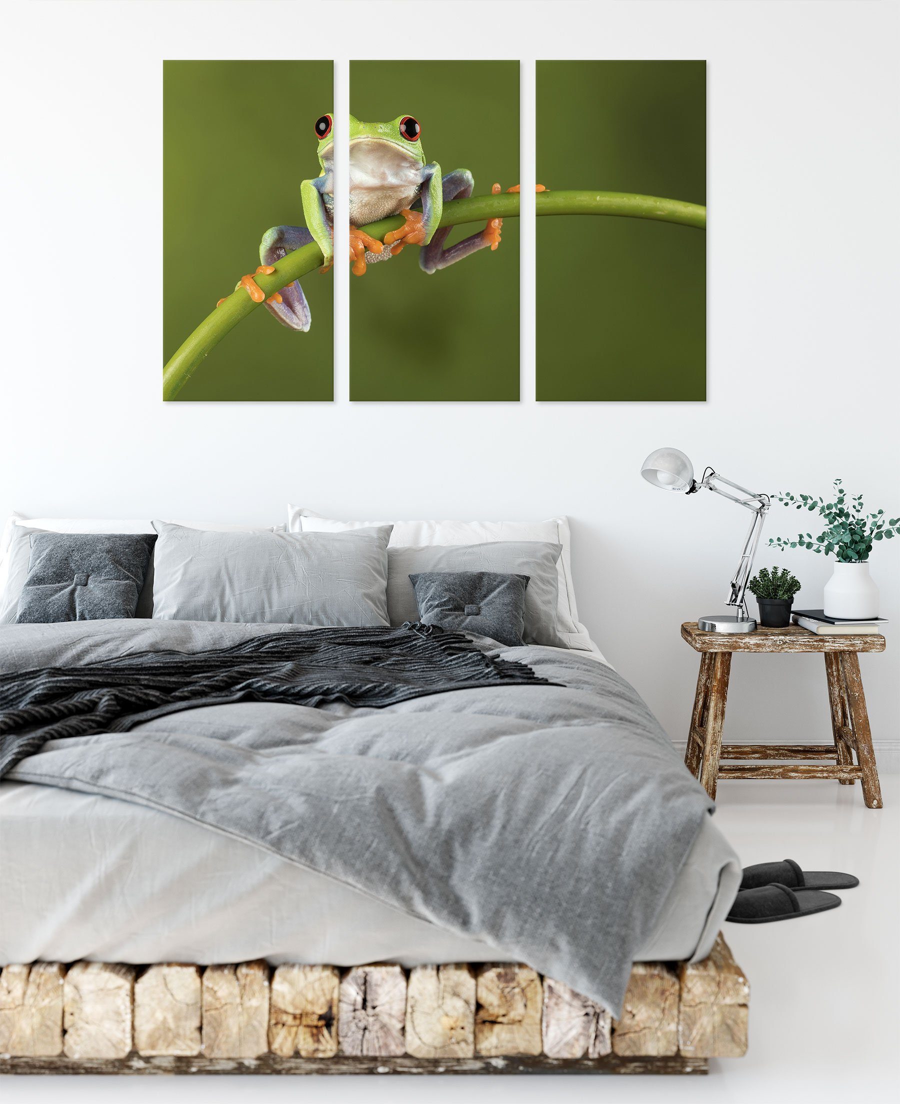 Pixxprint Leinwandbild Zackenaufhänger Baum-Frosch auf St), Bambus, fertig Baum-Frosch auf Bambus inkl. Leinwandbild (1 3Teiler bespannt, (120x80cm)