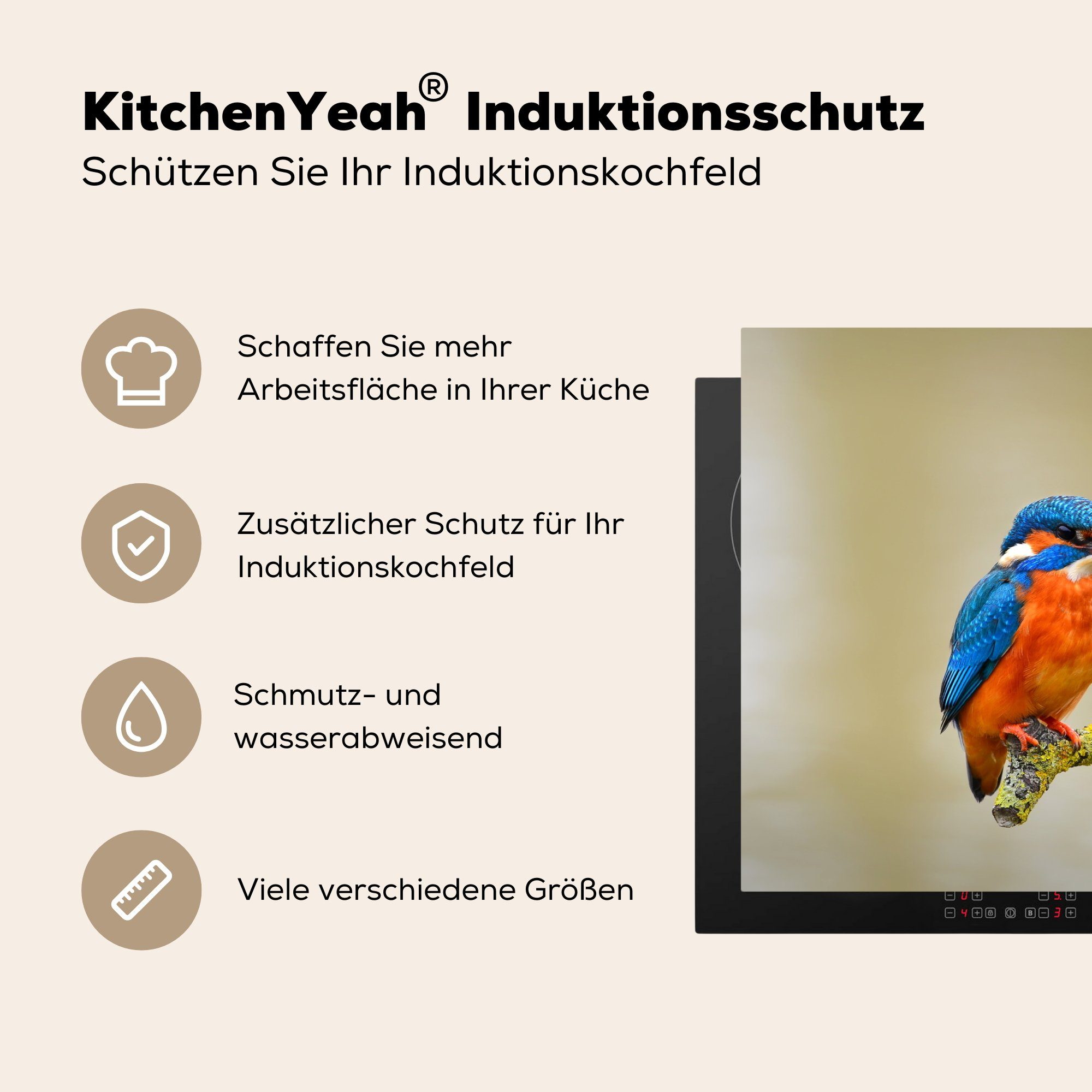 Schutz Zweig, Herdblende-/Abdeckplatte - Vogel 81x52 für Induktionskochfeld Ceranfeldabdeckung die küche, Eisvogel (1 Vinyl, cm, tlg), MuchoWow -