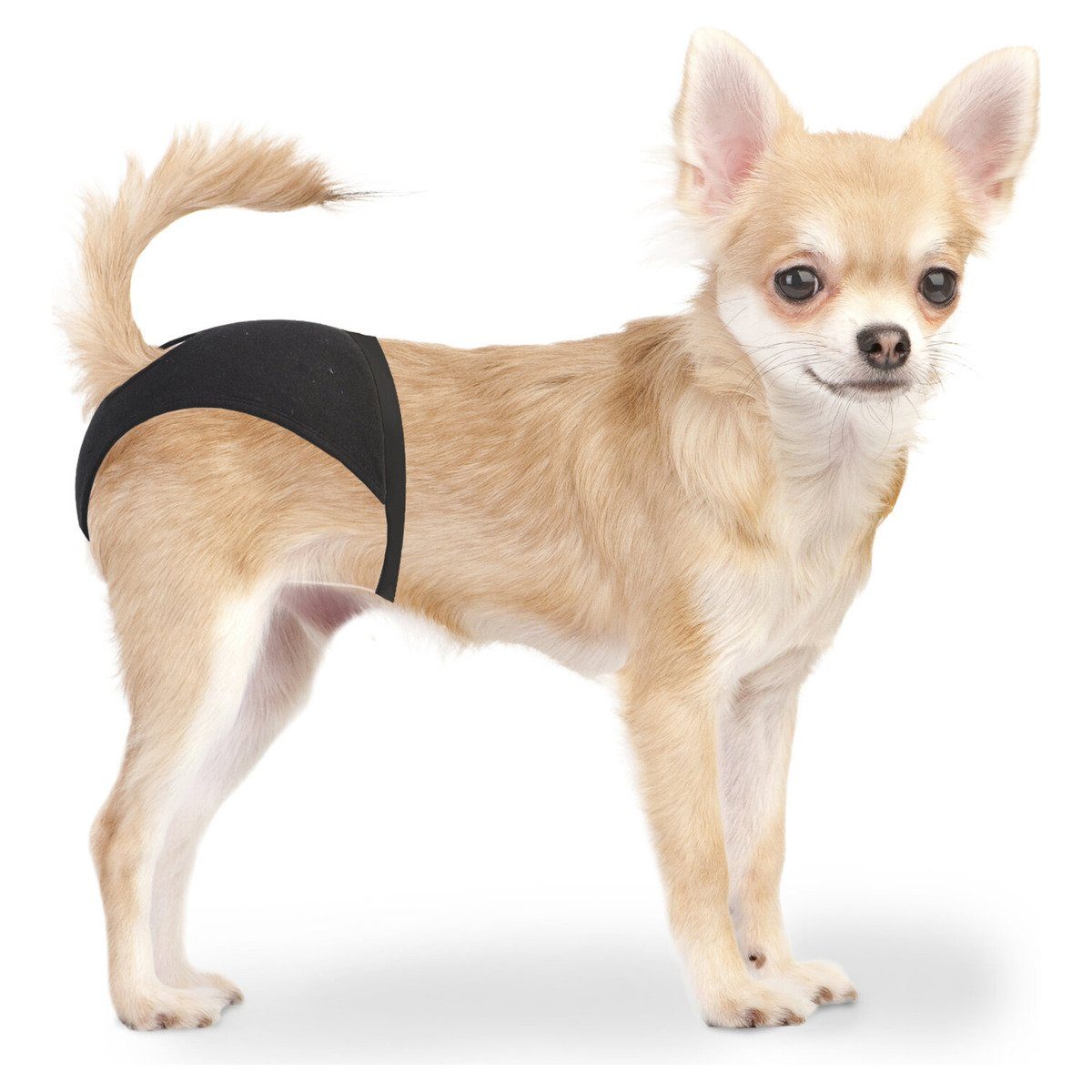 Hundewindel Schutzhose