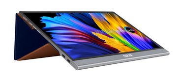 Asus 33,78 cm Profess. MQ13AH Mobile-Monitor USB HDMI TFT-Monitor (1920 x 1080 px, Full HD, 1 ms Reaktionszeit, 60 Hz, OLED, HDCP, HDR)