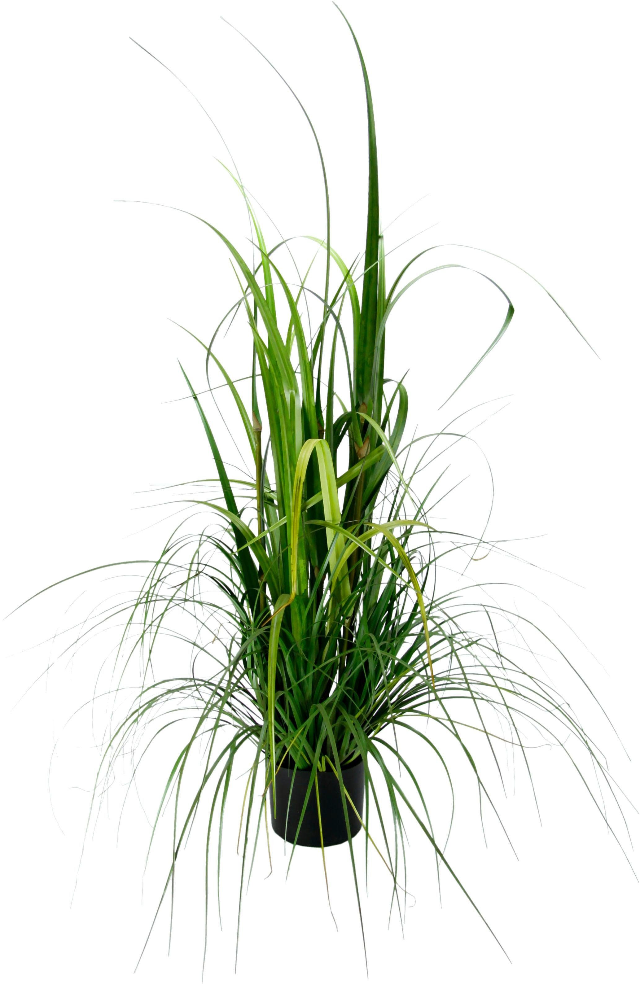 Kunstpflanze Gras im Topf Gras, I.GE.A., günstig online kaufen