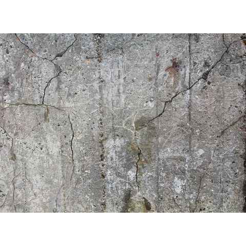 living walls Fototapete Designwalls Old Concrete, glatt, (5 St), Vlies, Wand, Schräge, Decke