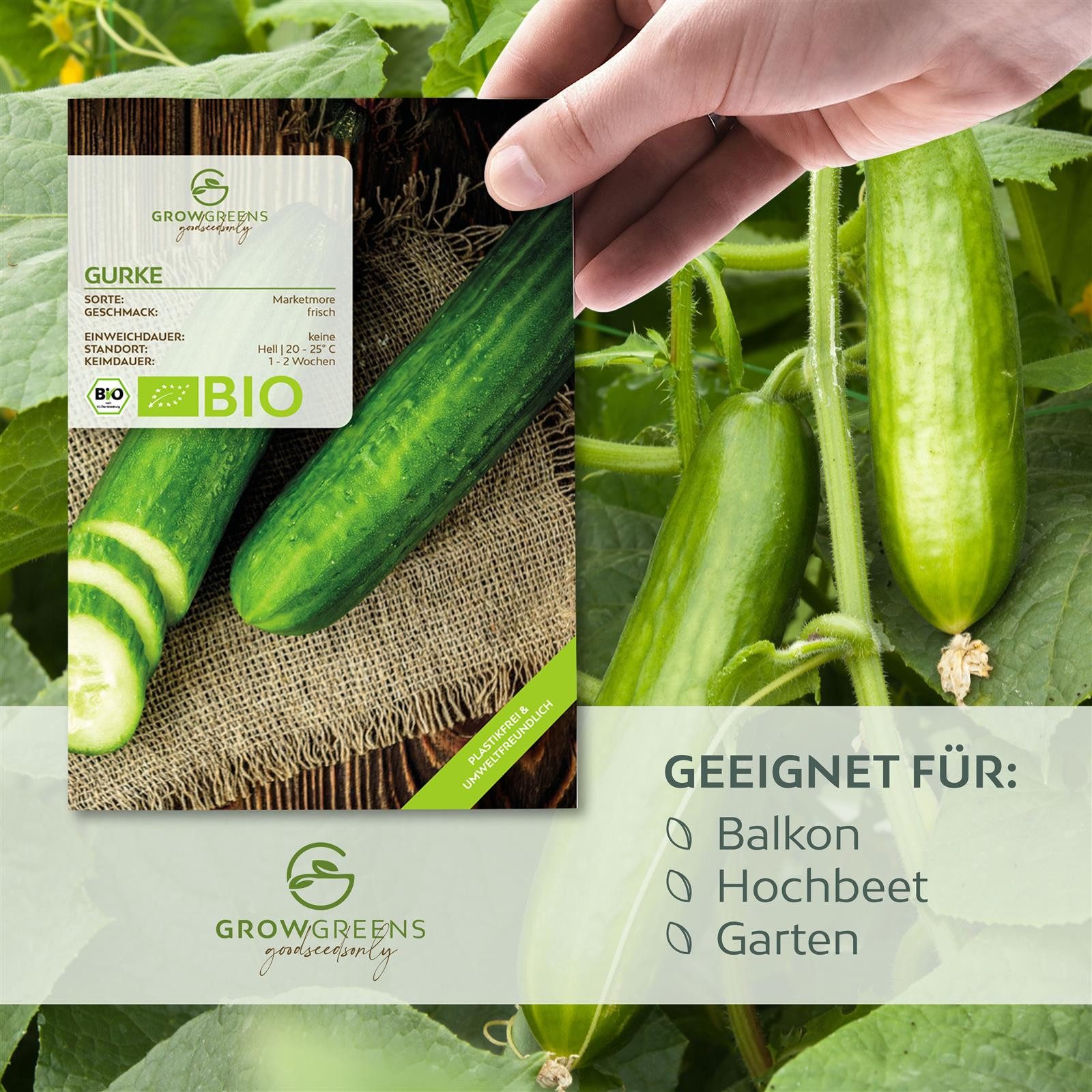 Growgreens Gemüsesamen BIO Gurken Samen (Marketmore) - Salatgurke Saatgut ( günstig online kaufen