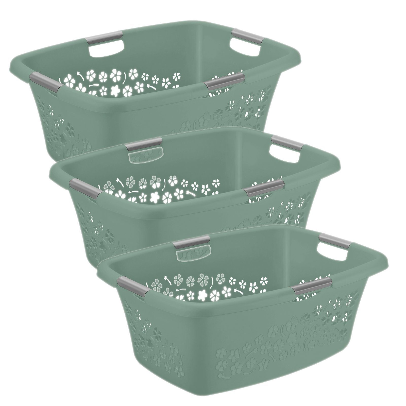 ROTHO Wäschekorb Flowers 3er-Set Wäschekorb 50l, Kunststoff (PP) BPA-frei Mistletoe grün