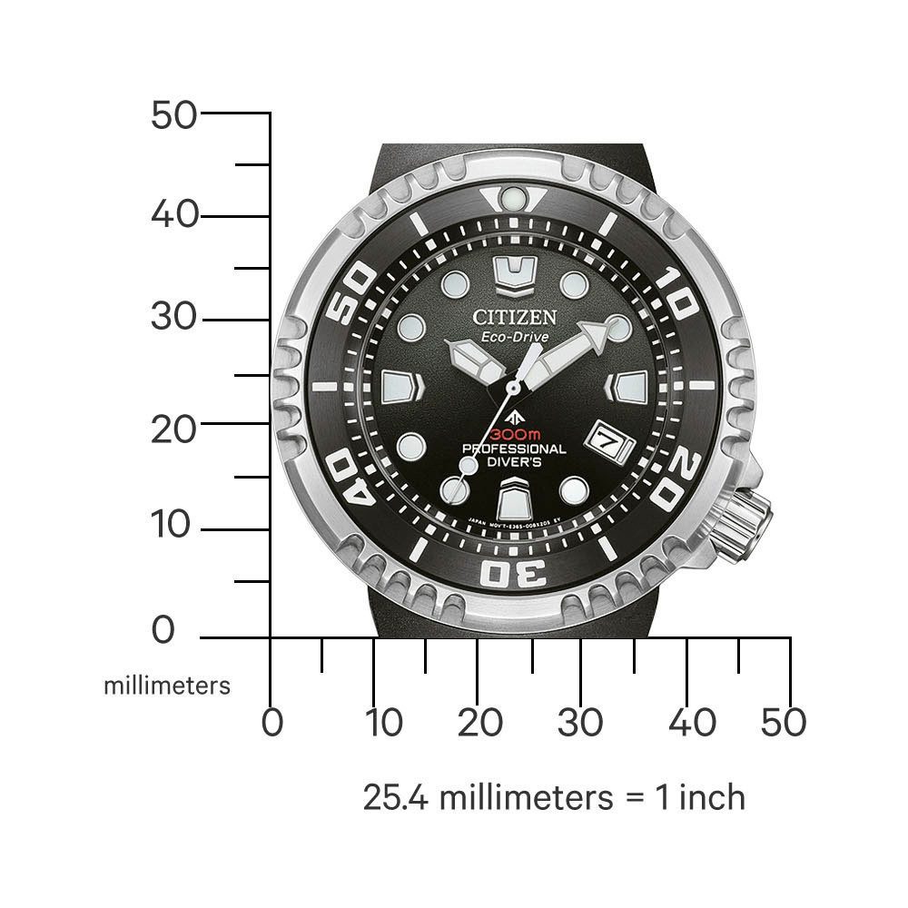 Citizen Taucheruhr Promaster Professional Diver 300 BN1024-01E, Armbanduhr, günstig online kaufen
