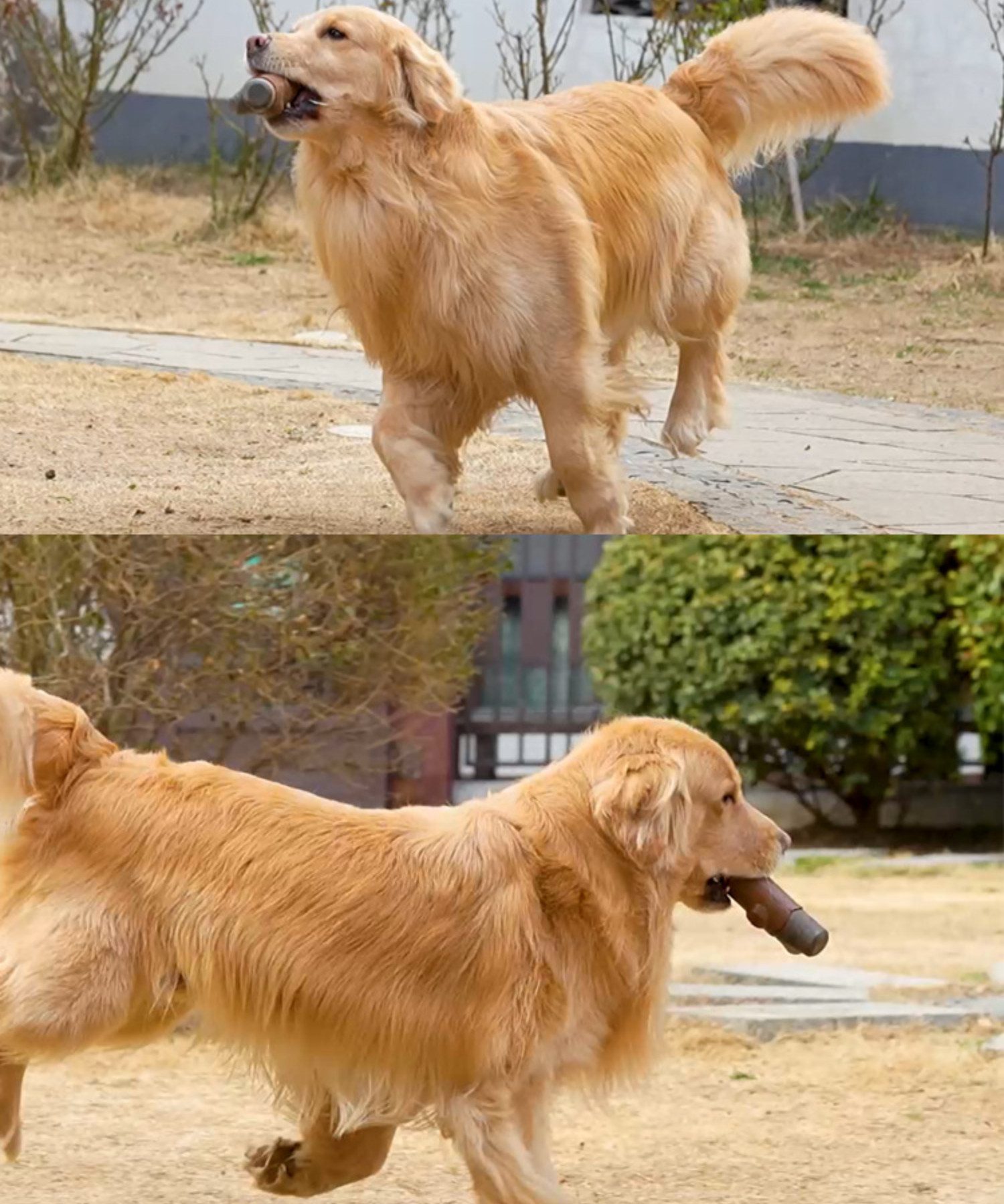 BYSURE Tier-Intelligenzspielzeug, (1-tlg) Kaufestes Beißspielzeug für Hunde