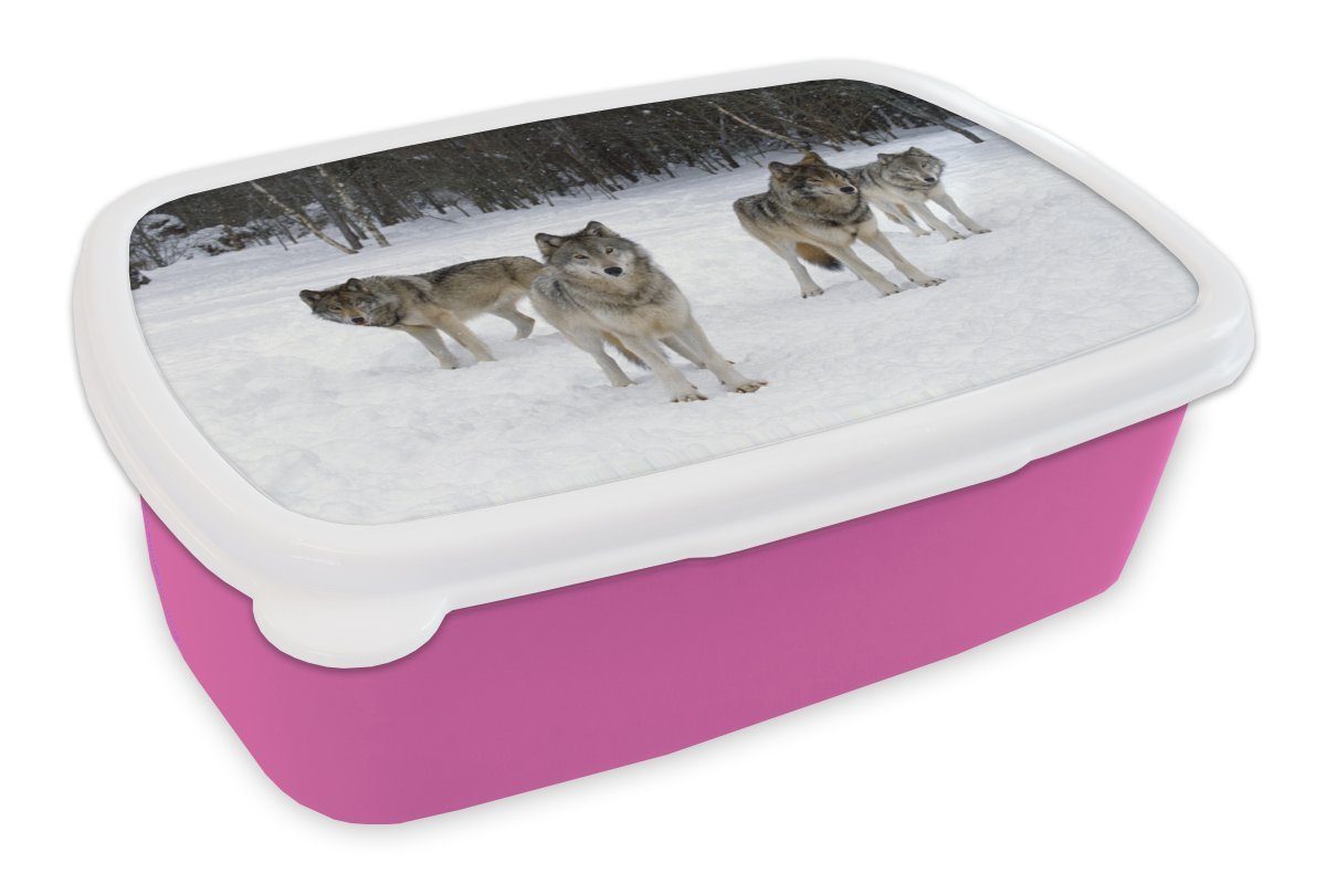 MuchoWow Lunchbox Wolf - Schnee - Kanada, Kunststoff, (2-tlg), Brotbox für Erwachsene, Brotdose Kinder, Snackbox, Mädchen, Kunststoff rosa