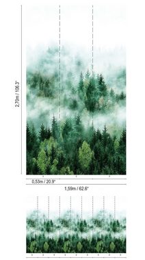Newroom Vliestapete, [ 2,7 x 1,59m ] großzügiges Motiv - kein wiederkehrendes Muster - nahtlos große Flächen möglich - Fototapete Wandbild Wald Baum Nebel Made in Germany