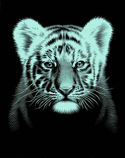 MAMMUT Spiel und Geschenk Kunstdruck Tigerbaby, Silber, 18 cm x 11 cm